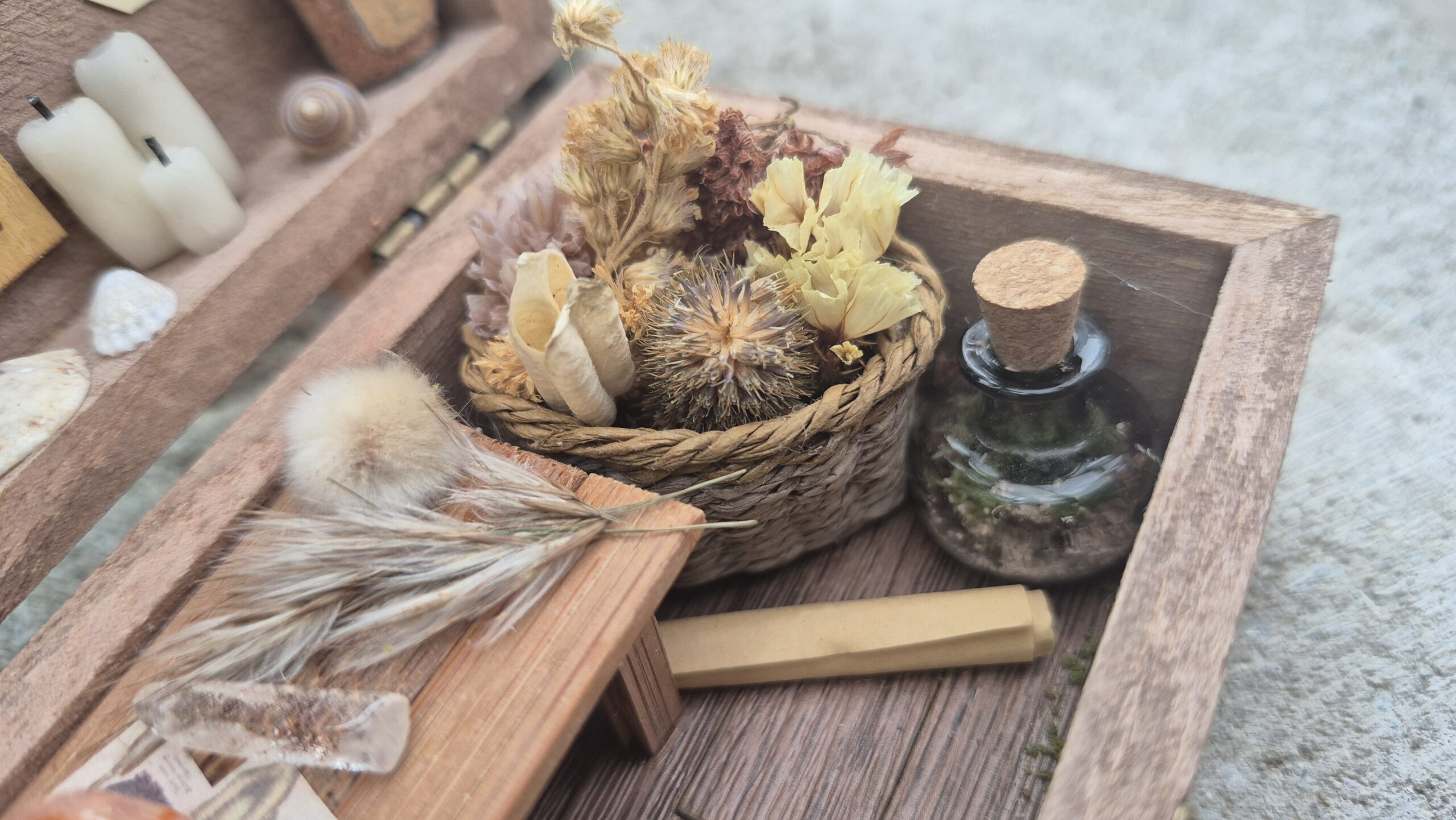 Botanical Curiosity Box - Image 6