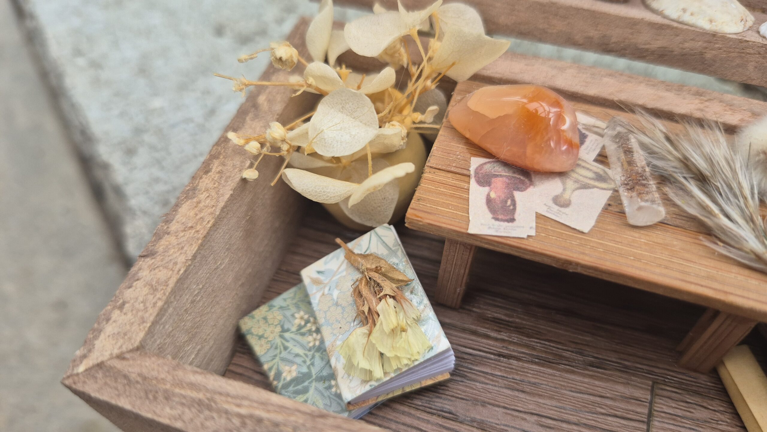 Botanical Curiosity Box - Image 5