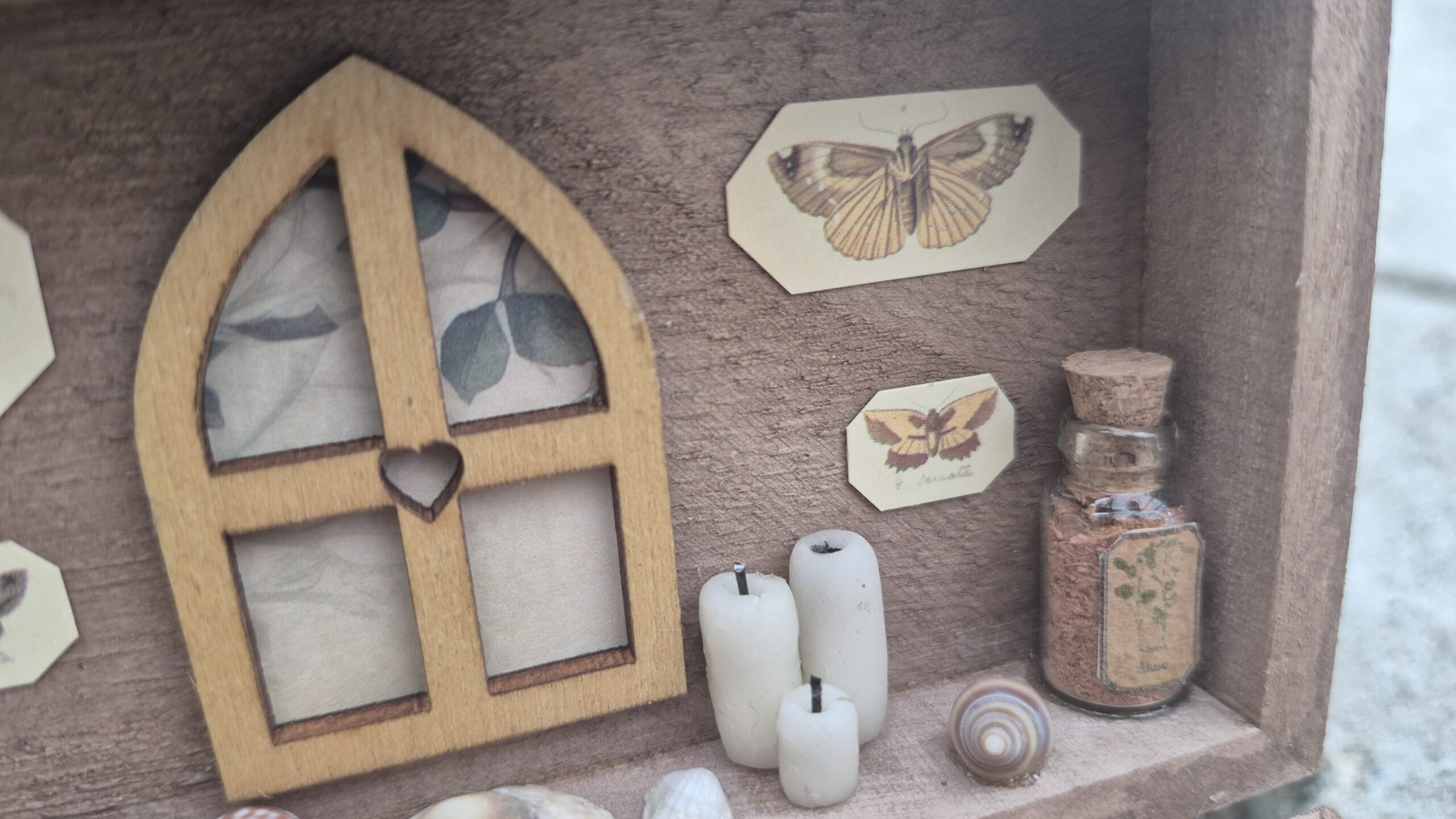 Botanical Curiosity Box - Image 4