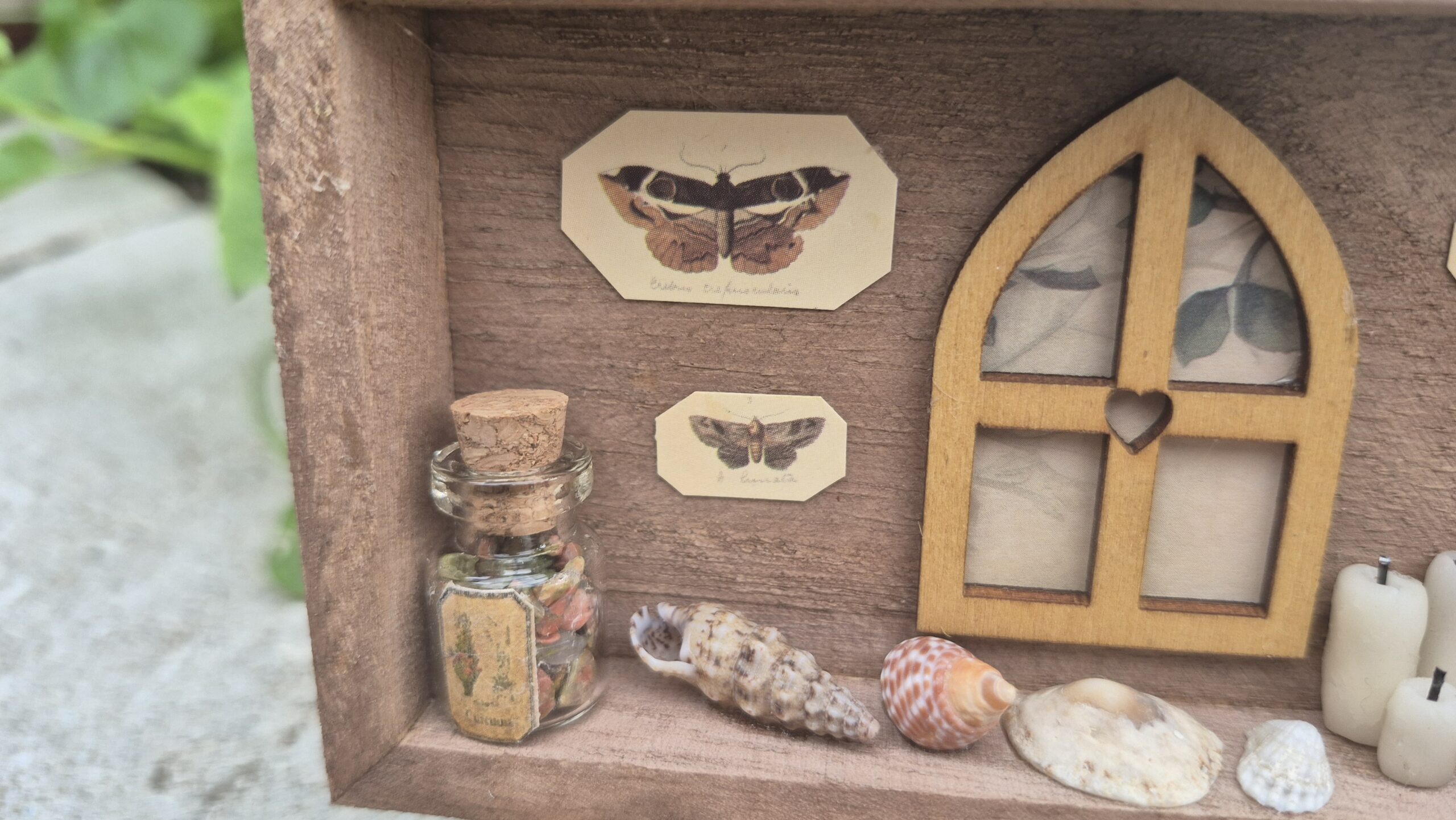 Botanical Curiosity Box - Image 3