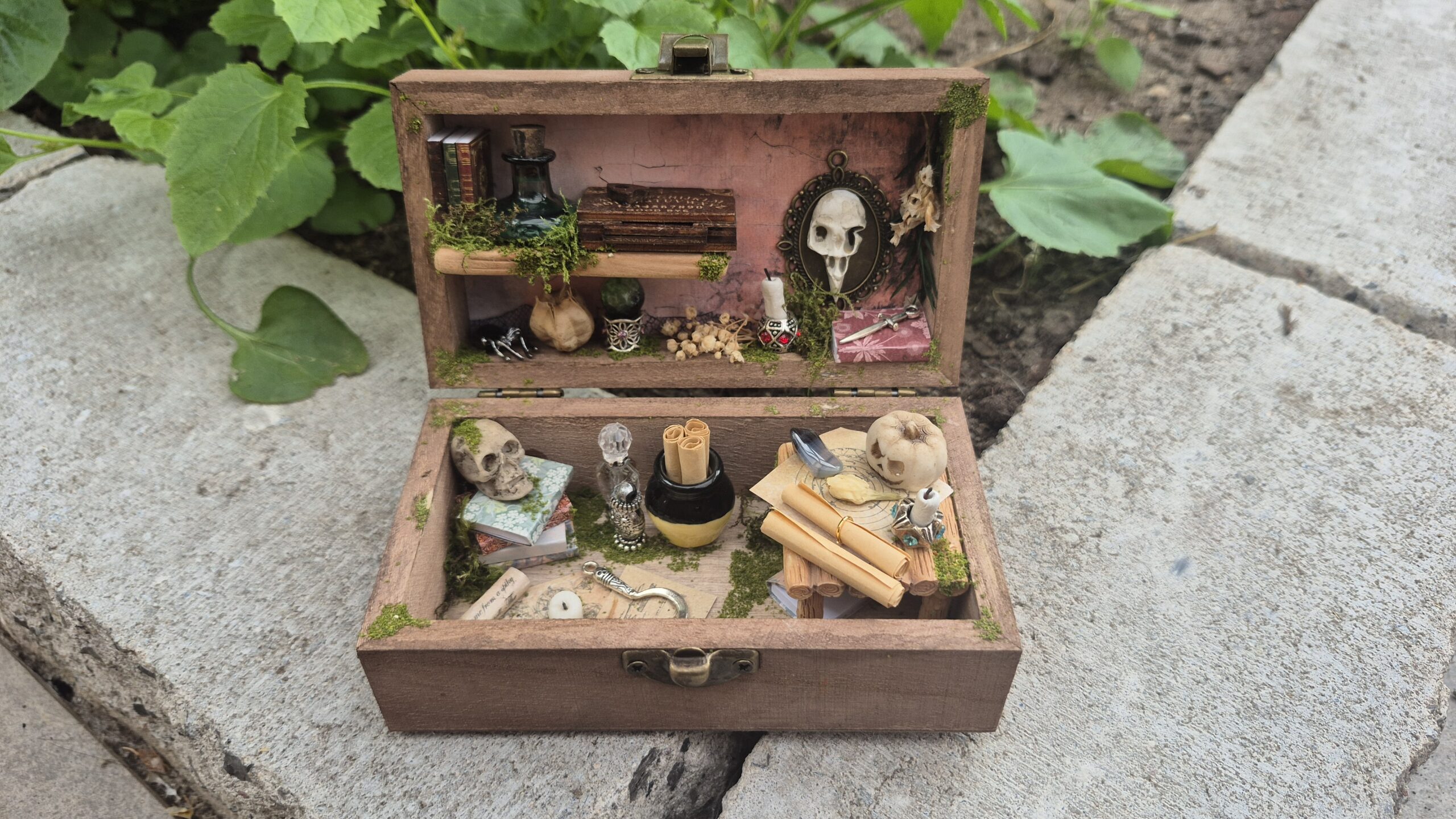 Sinister Curiosity Box - Image 2