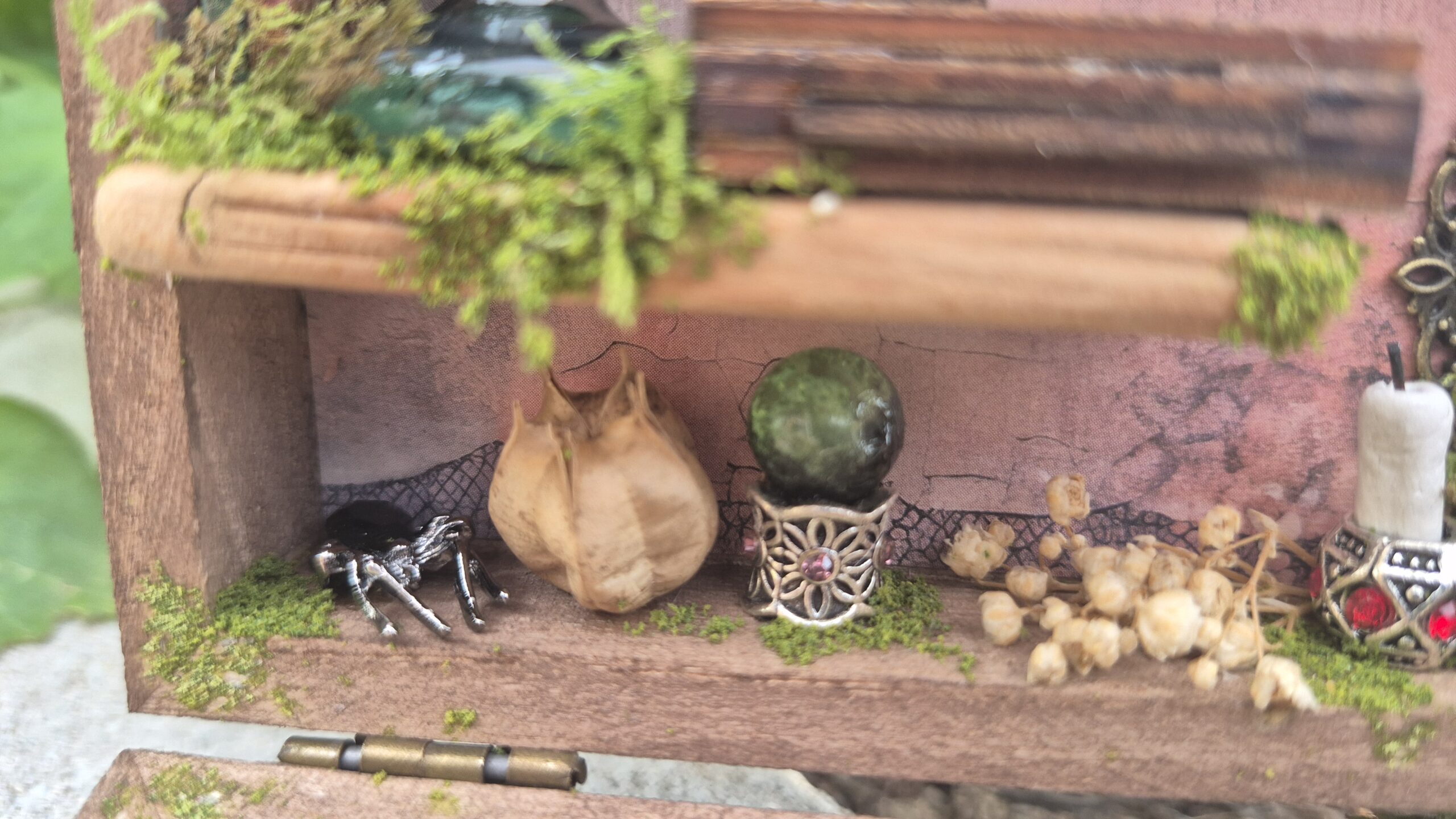 Sinister Curiosity Box - Image 5