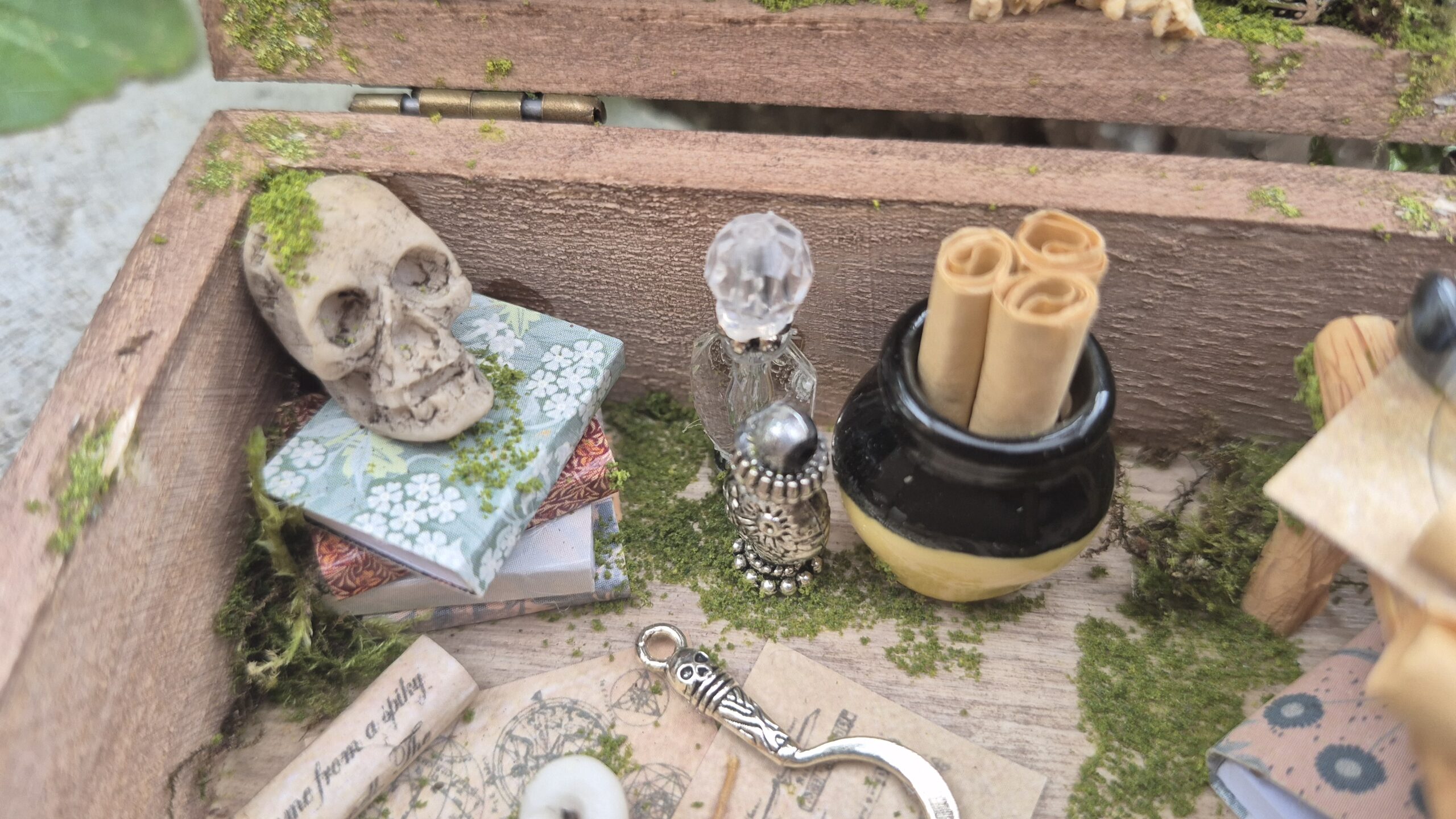 Sinister Curiosity Box - Image 10