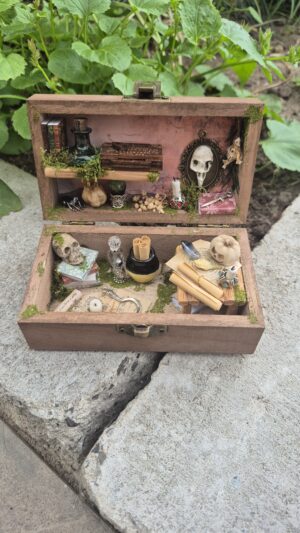 Sinister Curiosity Box