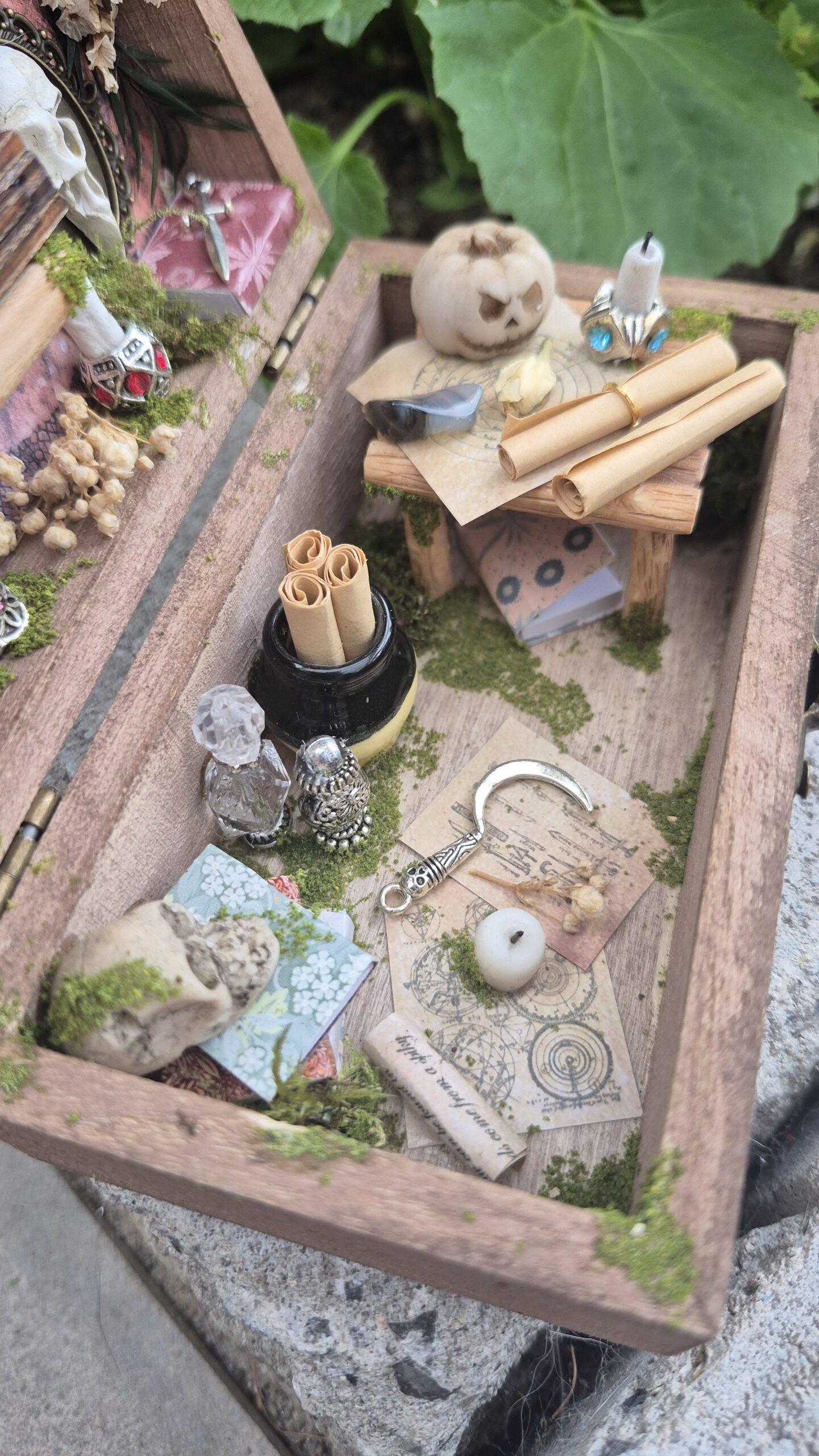 Sinister Curiosity Box - Image 11