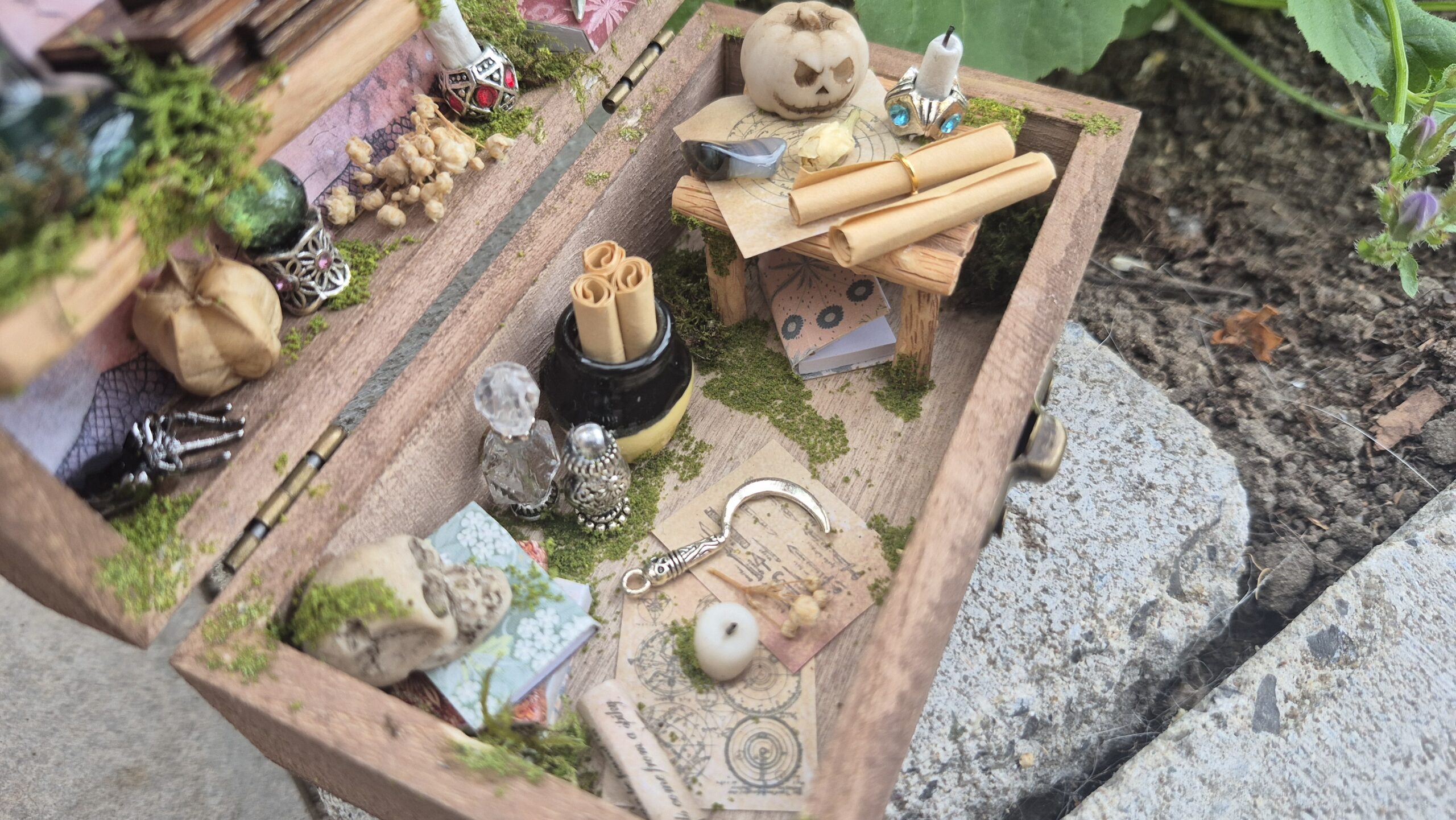 Sinister Curiosity Box - Image 12