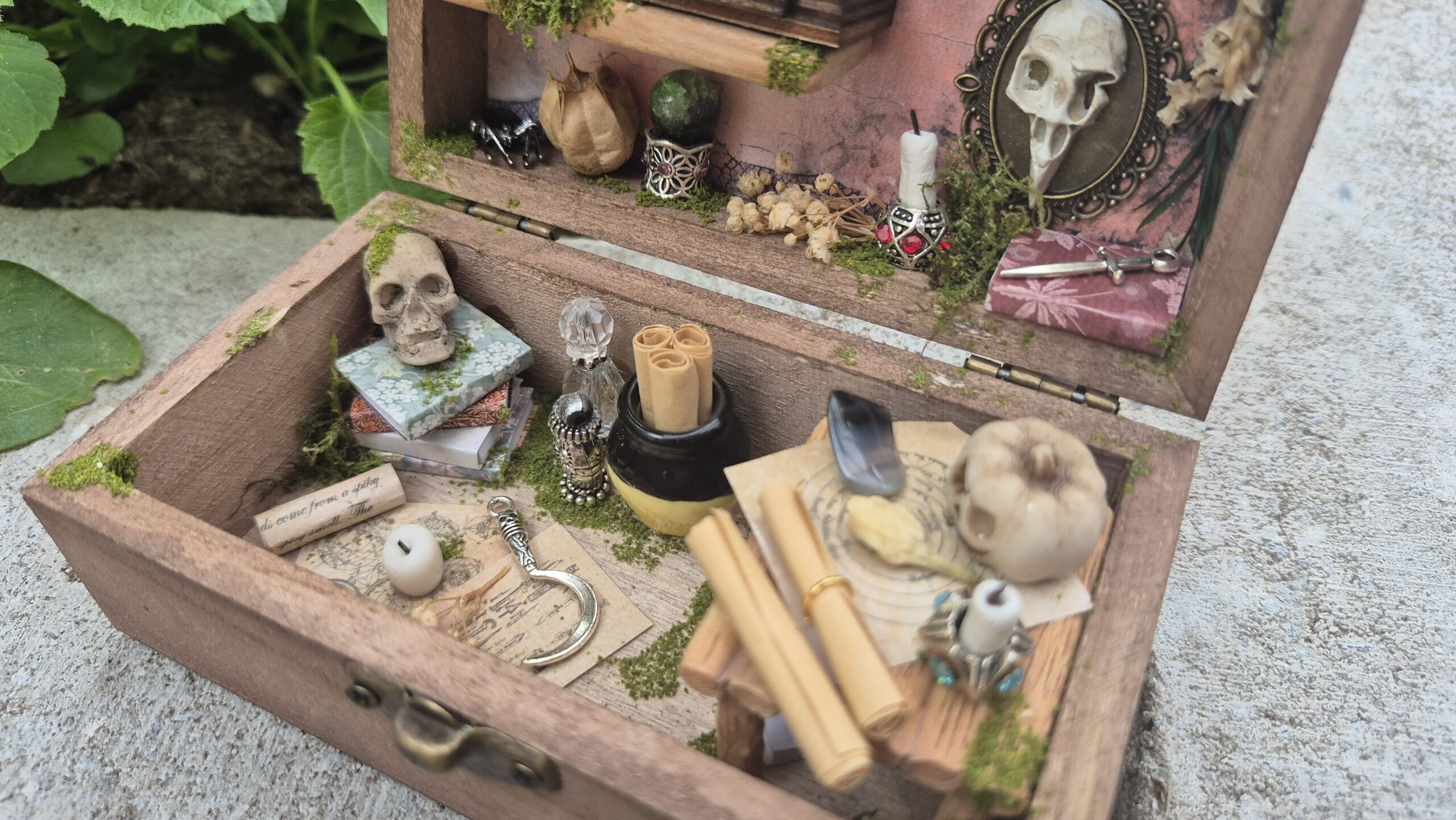 Sinister Curiosity Box - Image 13