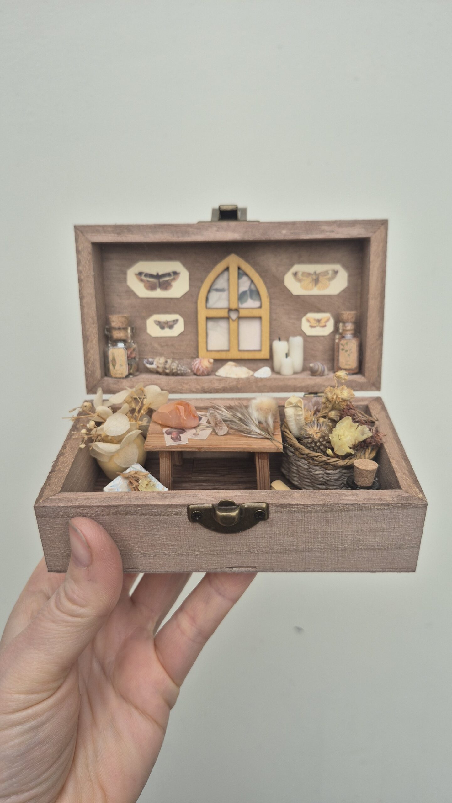 Botanical Curiosity Box - Image 15