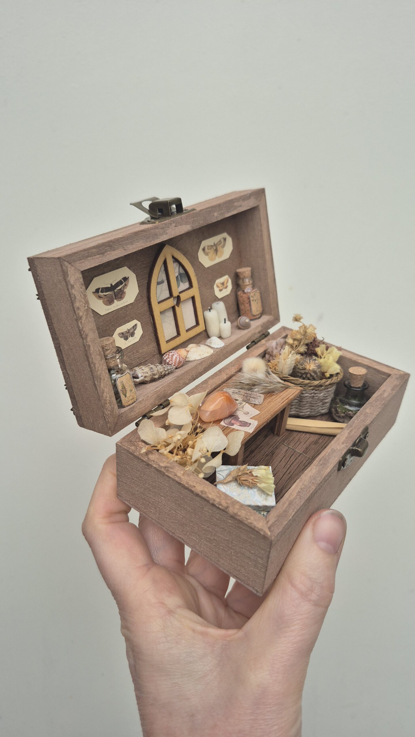Botanical Curiosity Box - Image 14