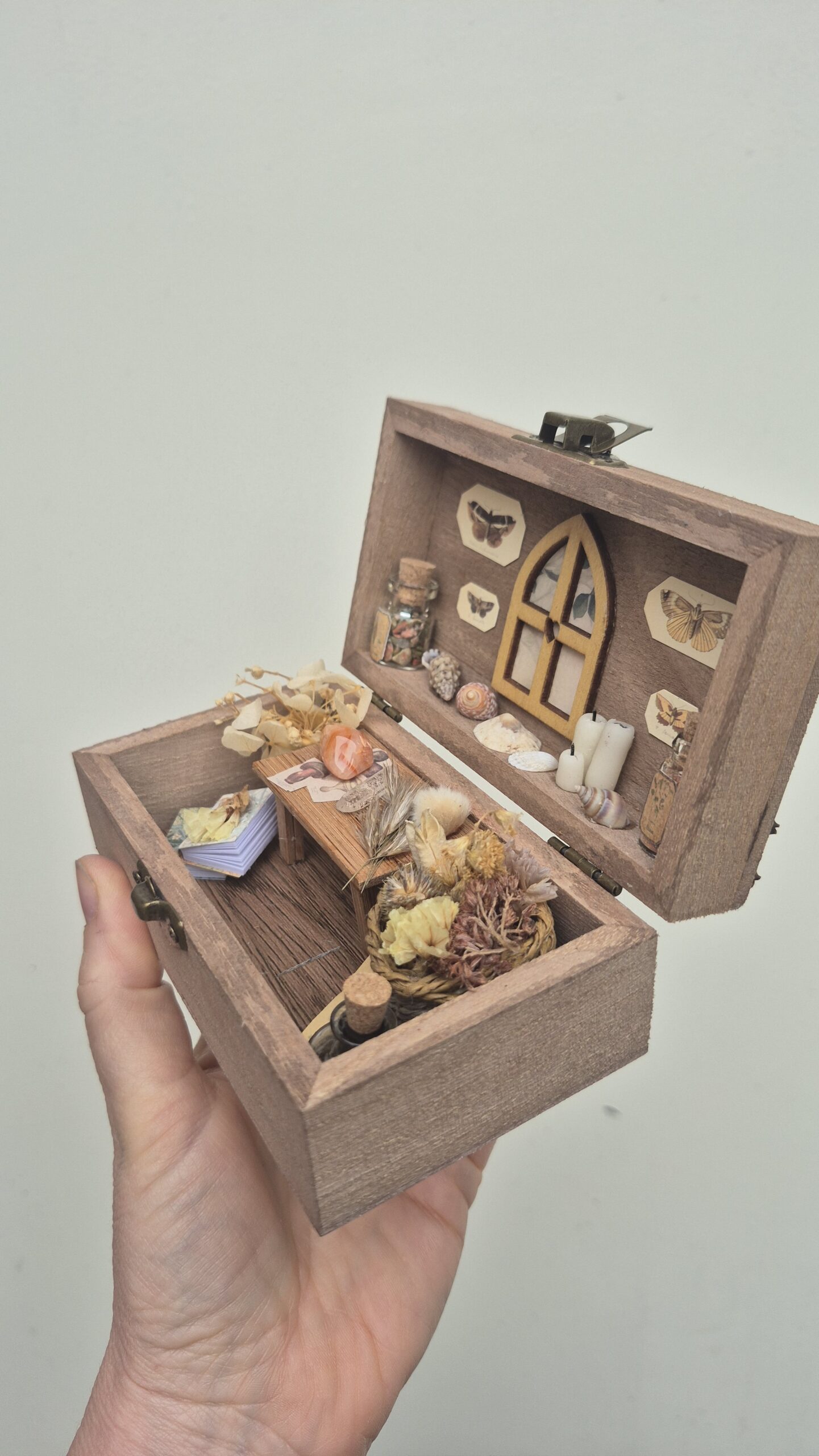 Botanical Curiosity Box - Image 13