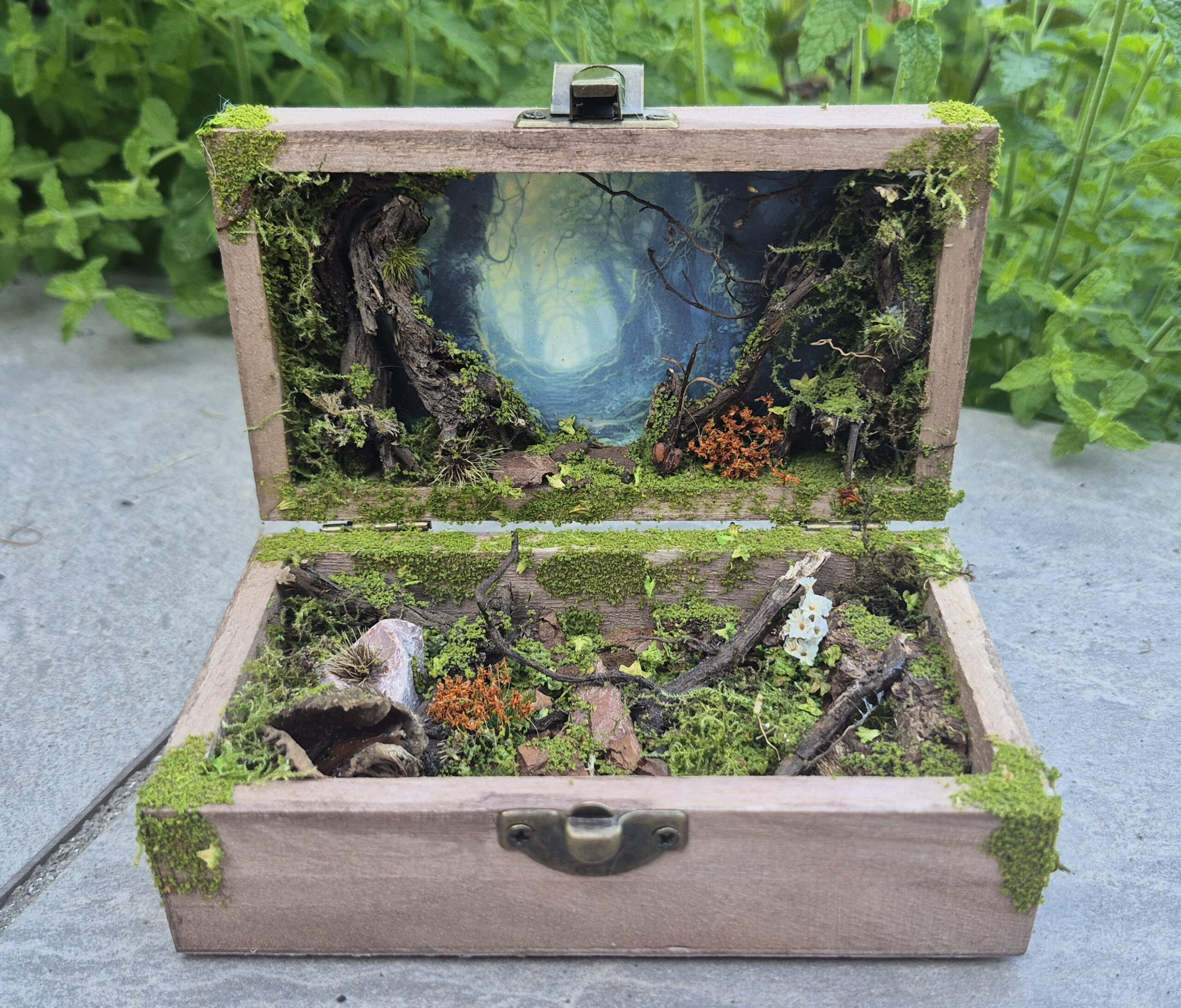Hidden Forest Box - Image 2