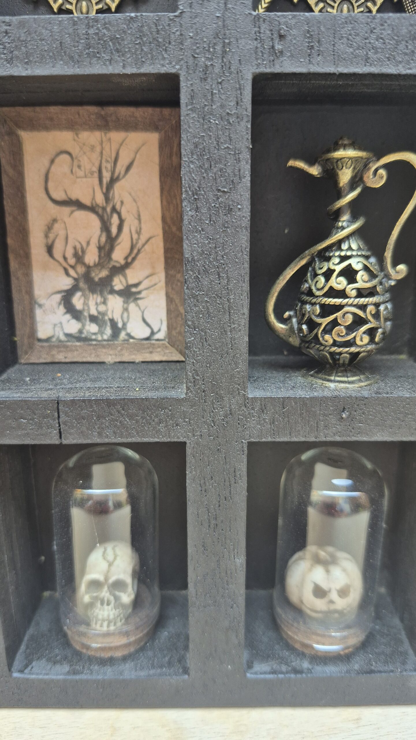 Arcane Curiosity Shelf - Image 2
