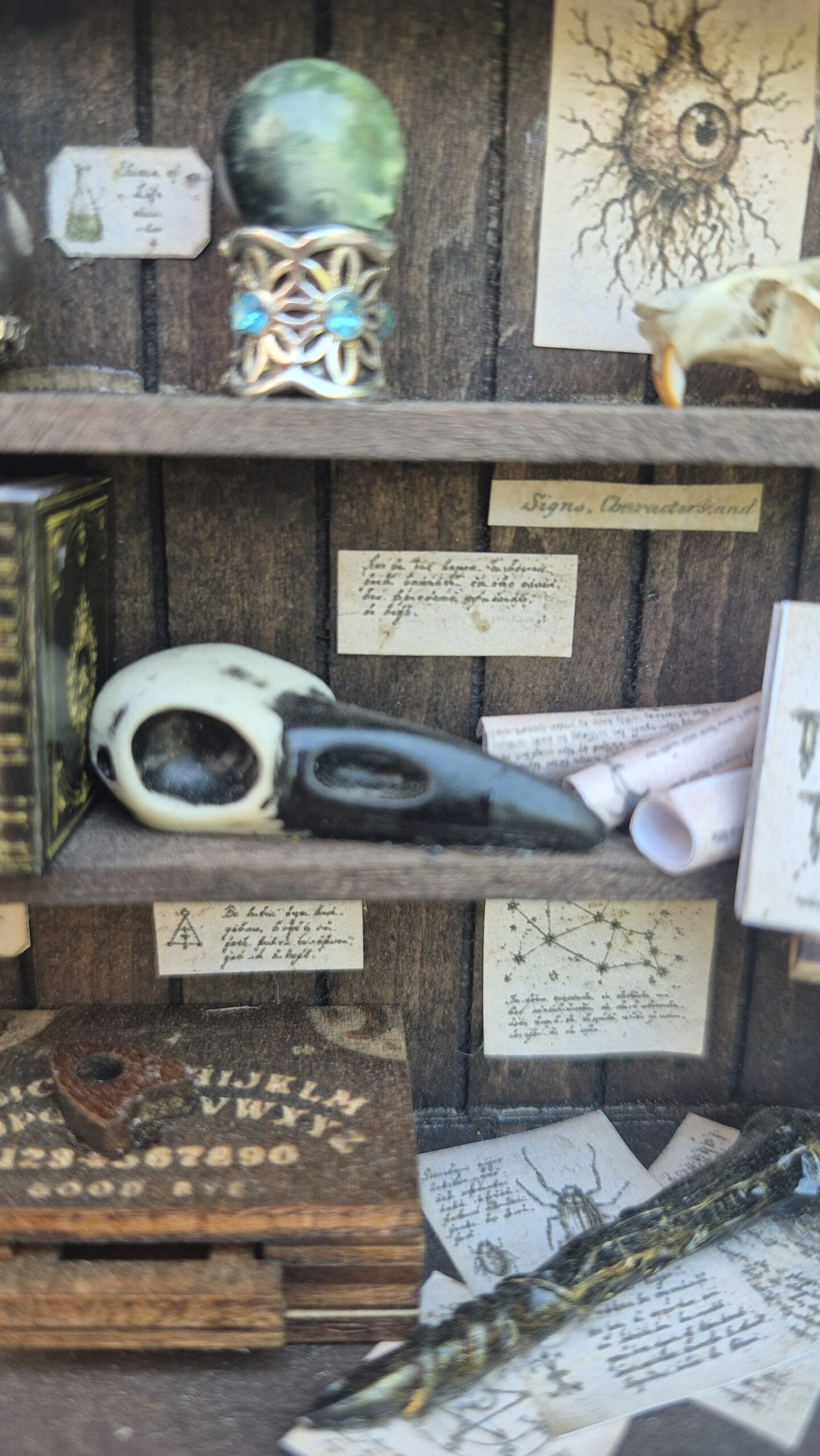 Sinister curiosity cabinet - Image 10