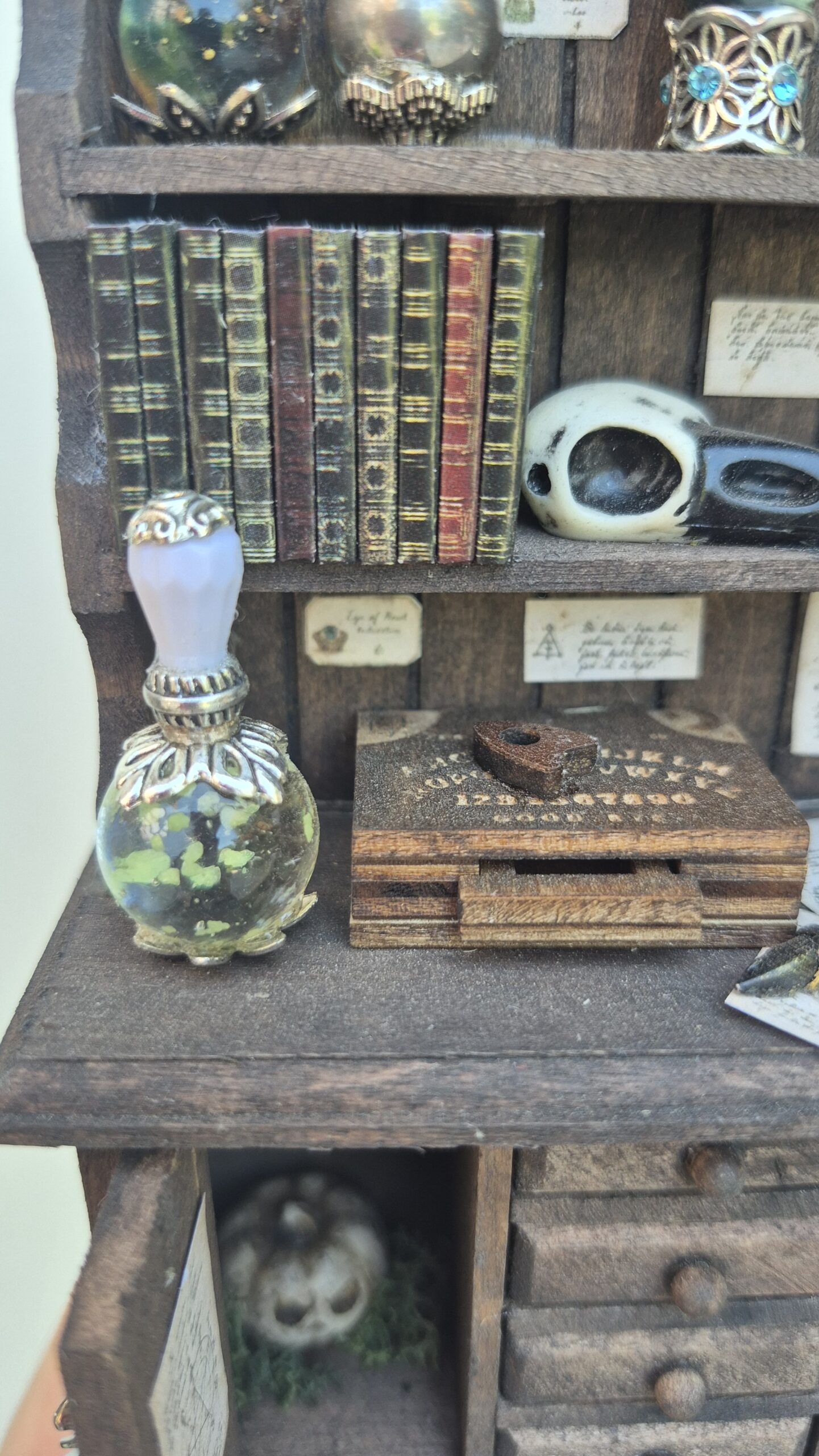 Sinister curiosity cabinet - Image 16