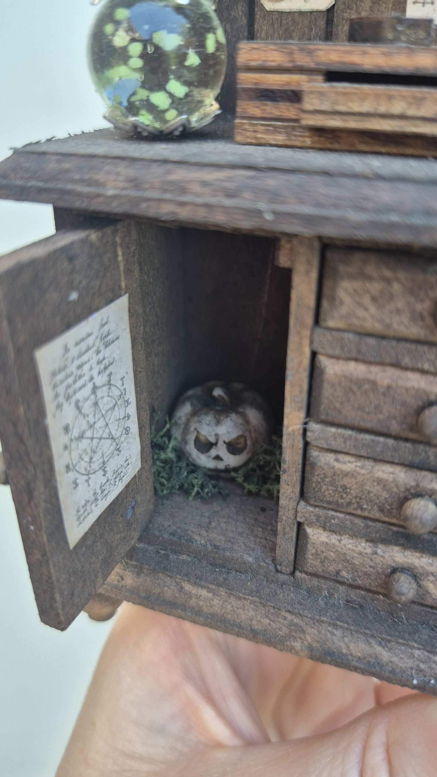 Sinister curiosity cabinet - Image 17