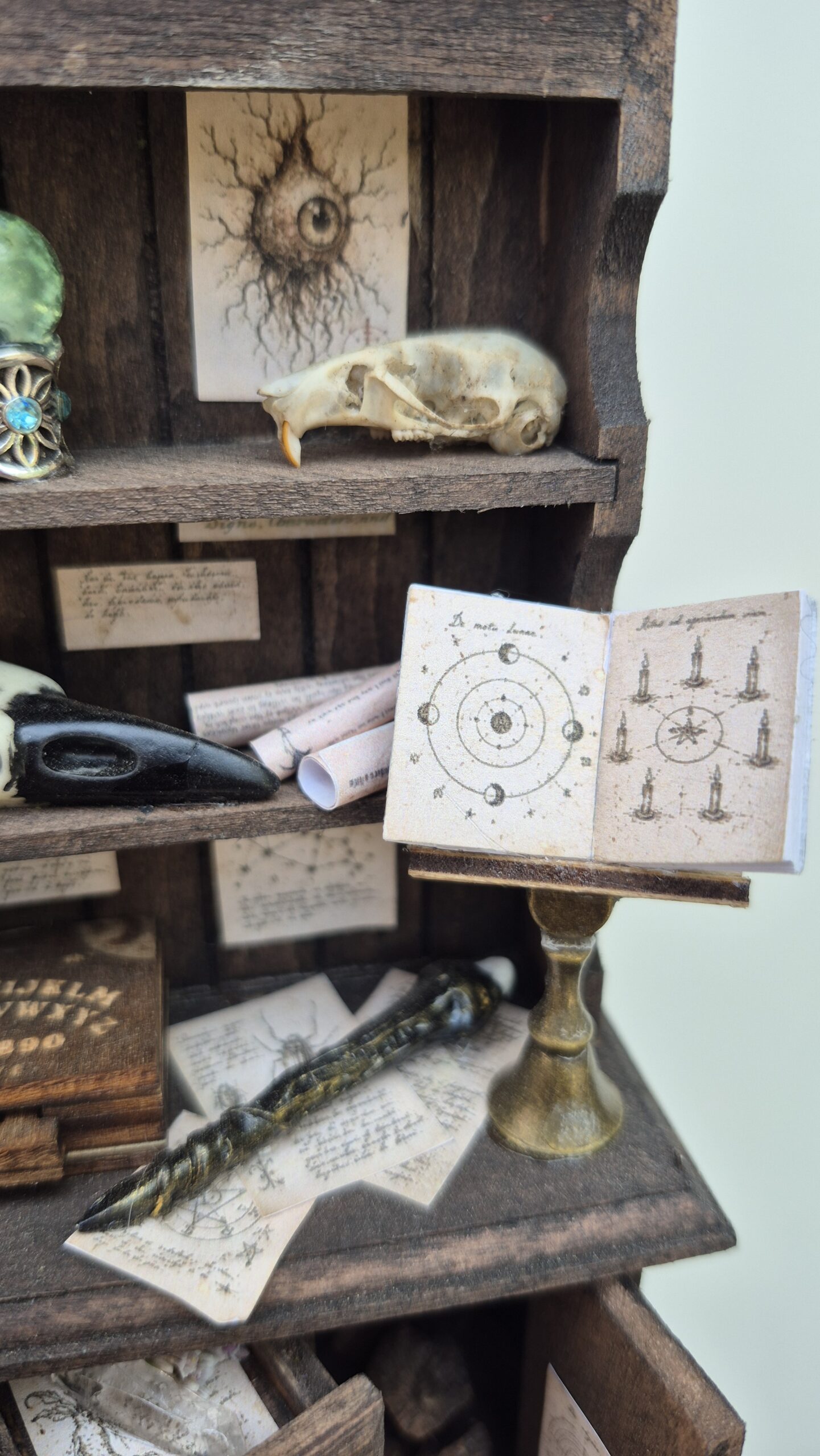 Sinister curiosity cabinet - Image 9