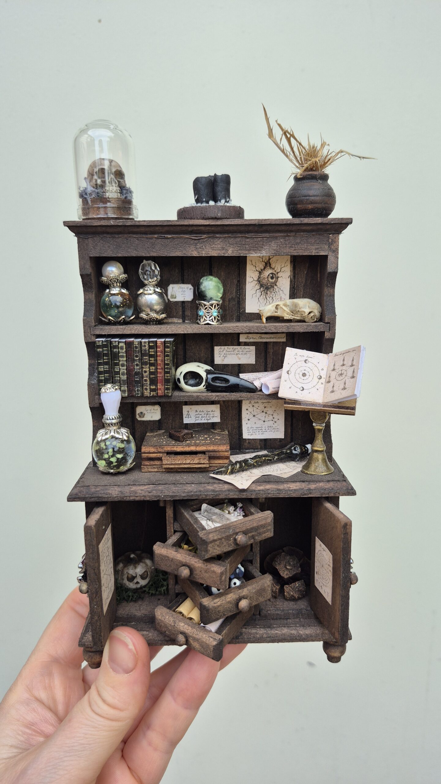 Sinister curiosity cabinet - Image 11