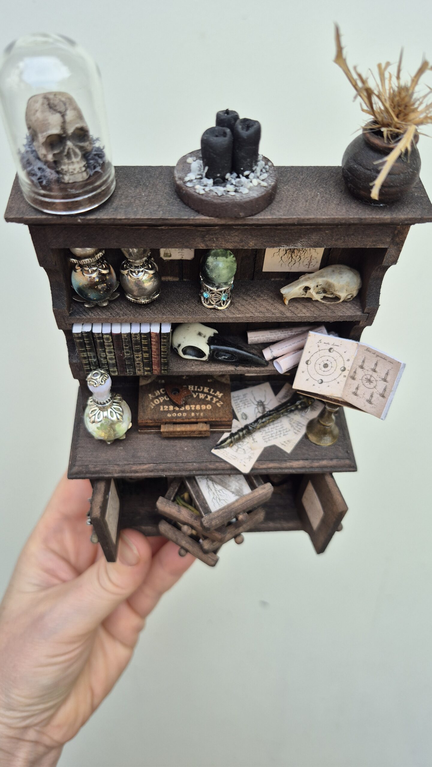 Sinister curiosity cabinet - Image 13