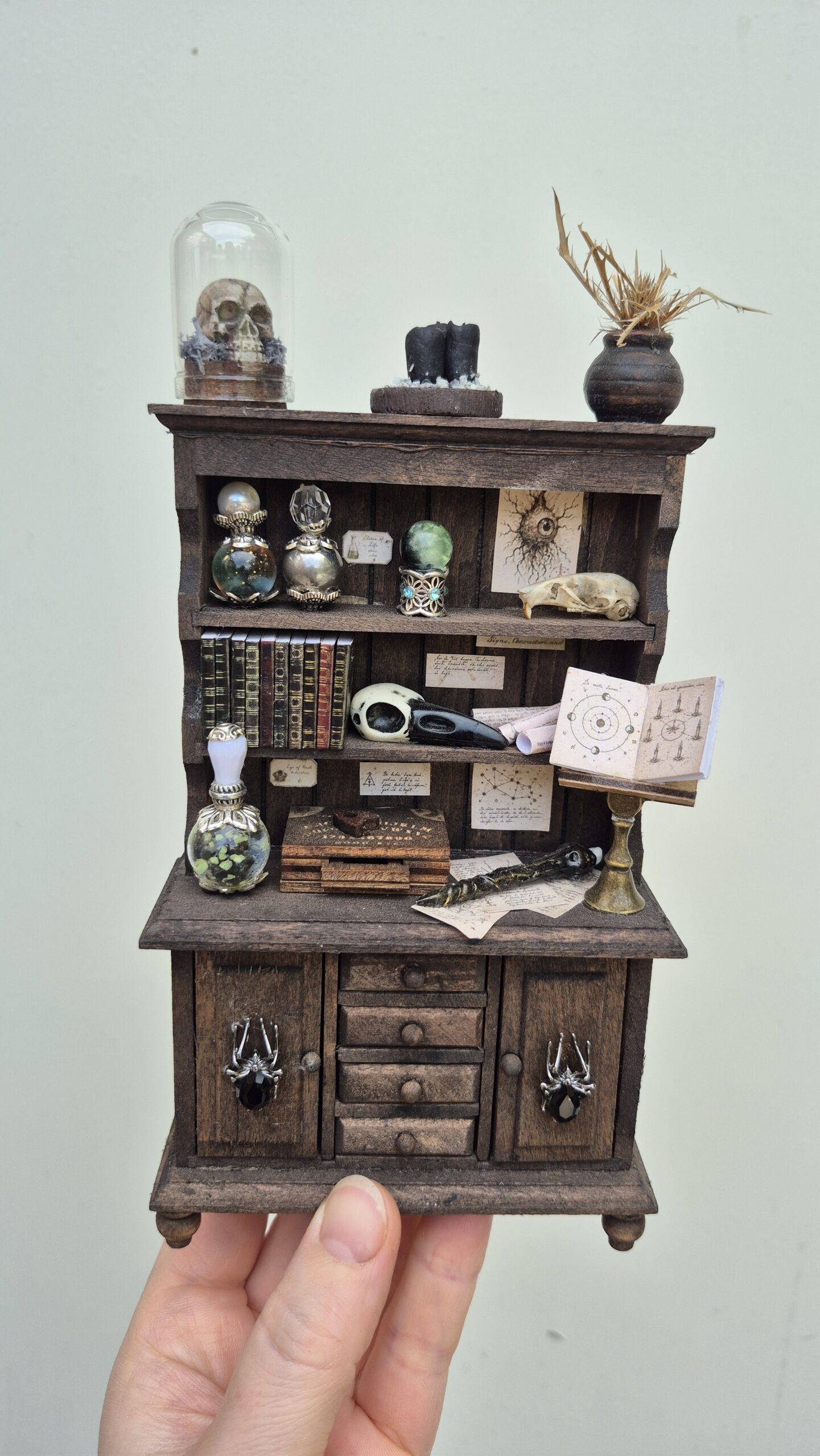 Sinister curiosity cabinet - Image 12
