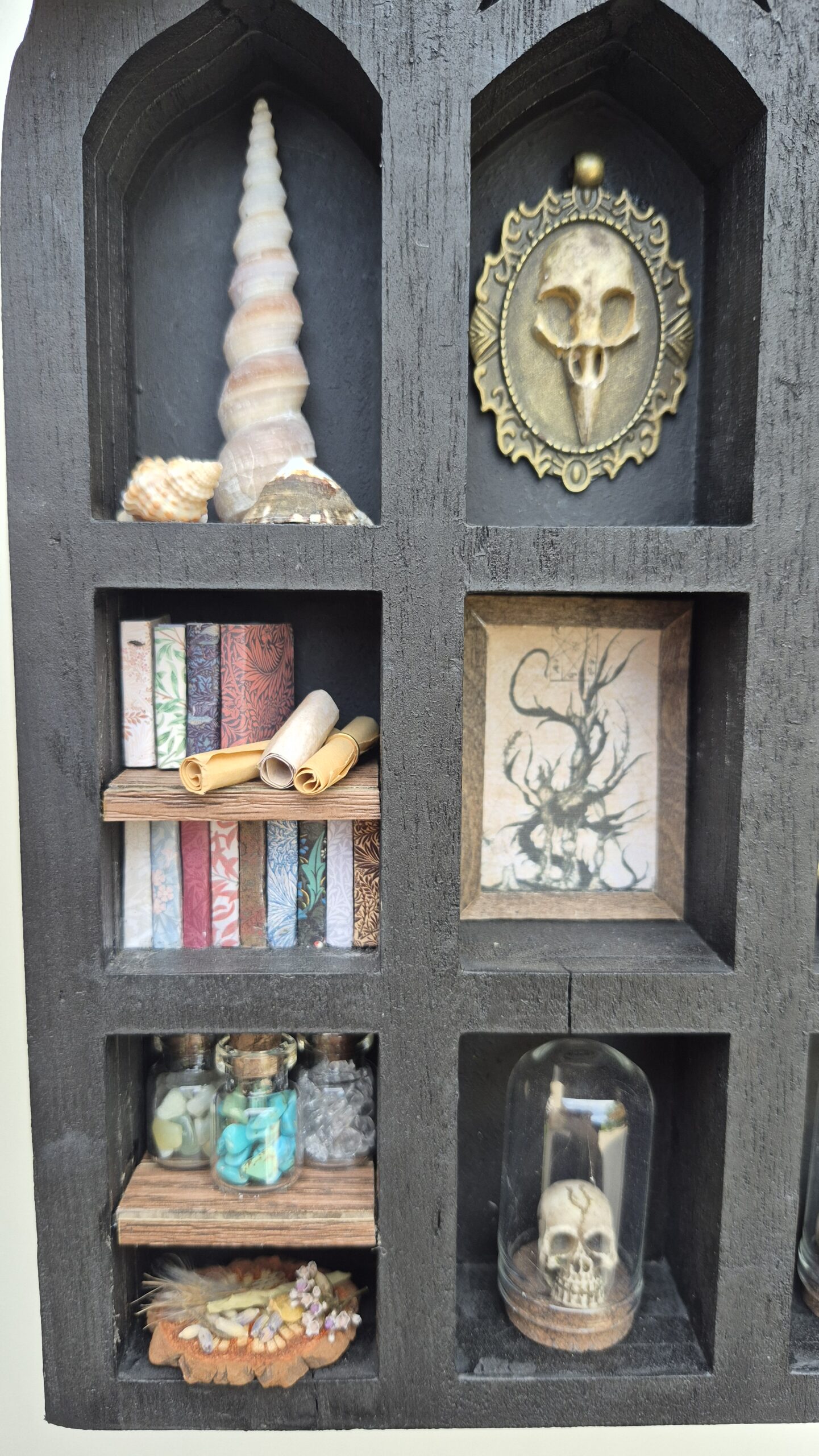 Arcane Curiosity Shelf - Image 3