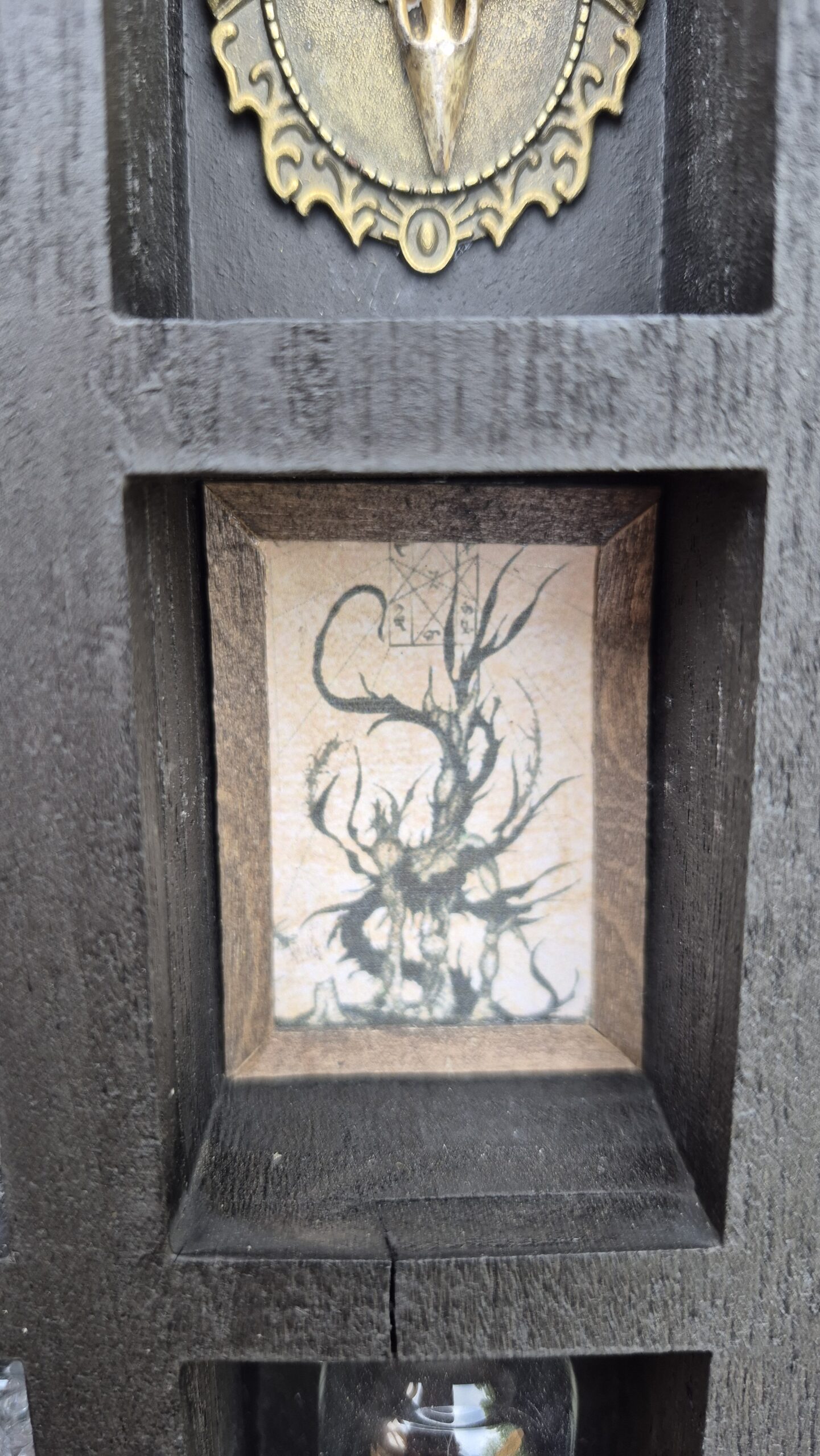 Arcane Curiosity Shelf - Image 8