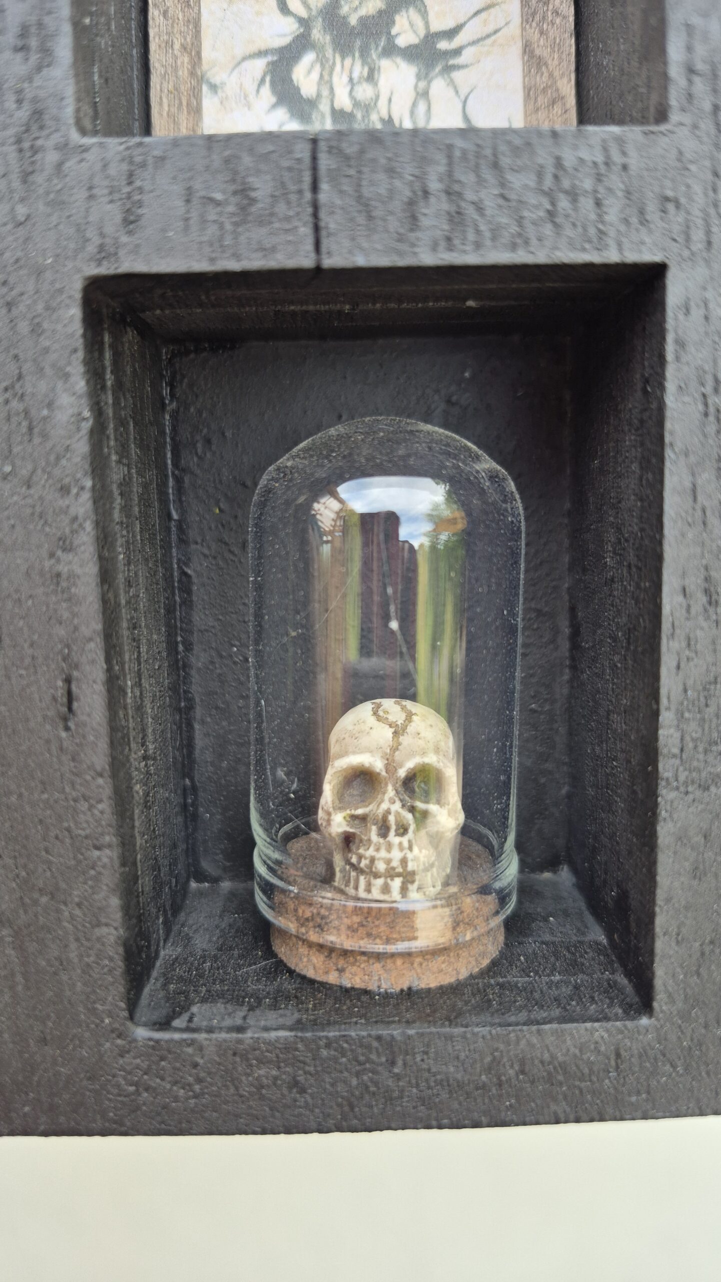 Arcane Curiosity Shelf - Image 9