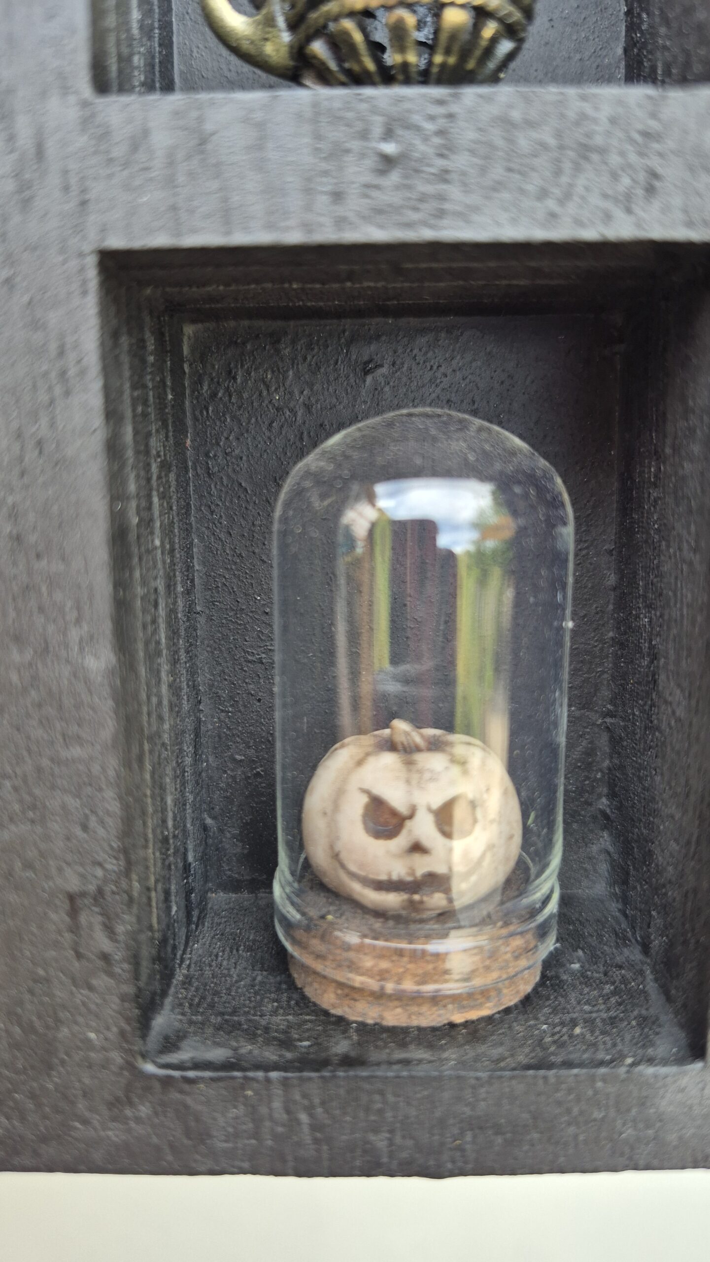 Arcane Curiosity Shelf - Image 10