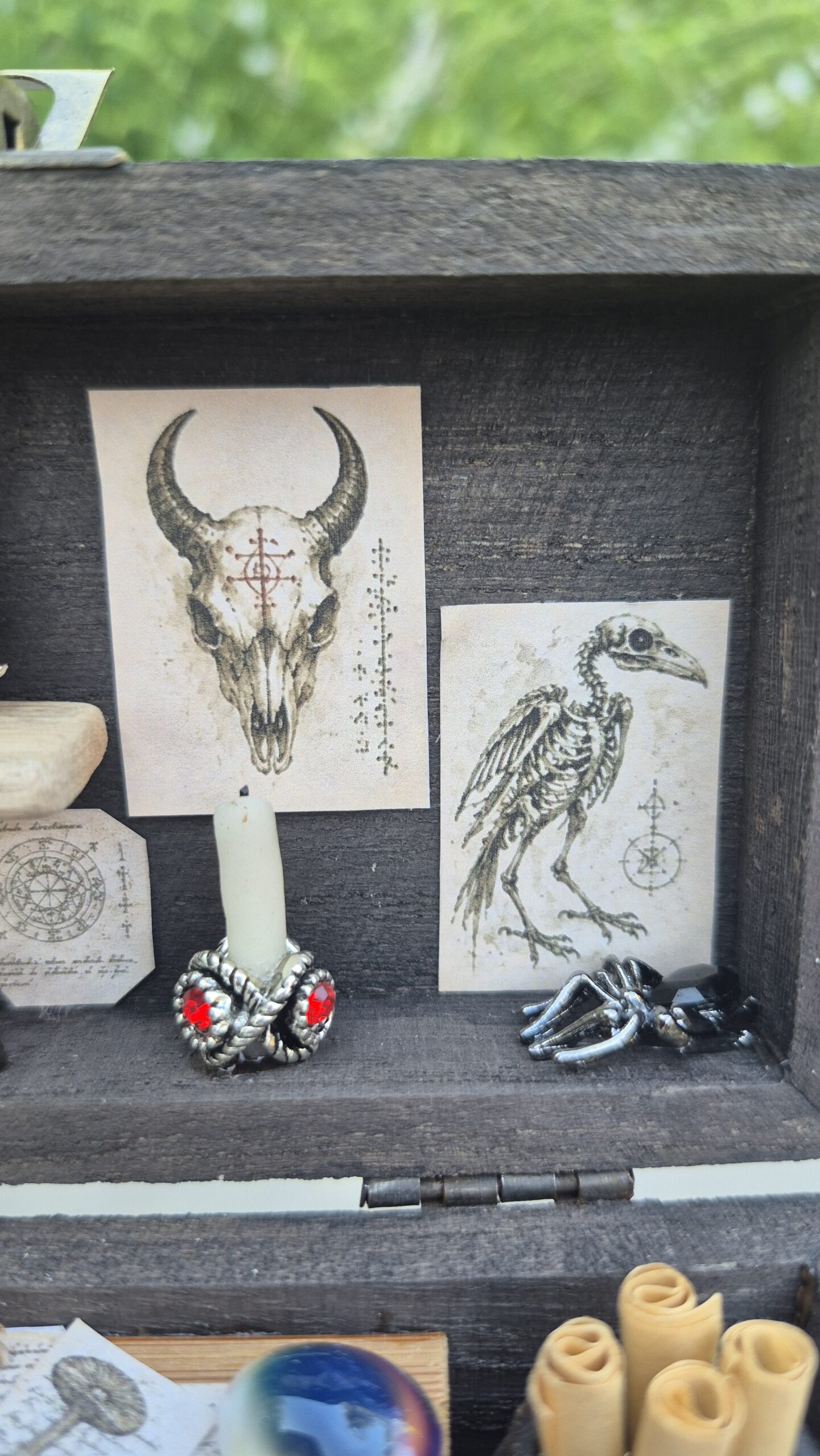 Arcane Curiosity Box - Image 5