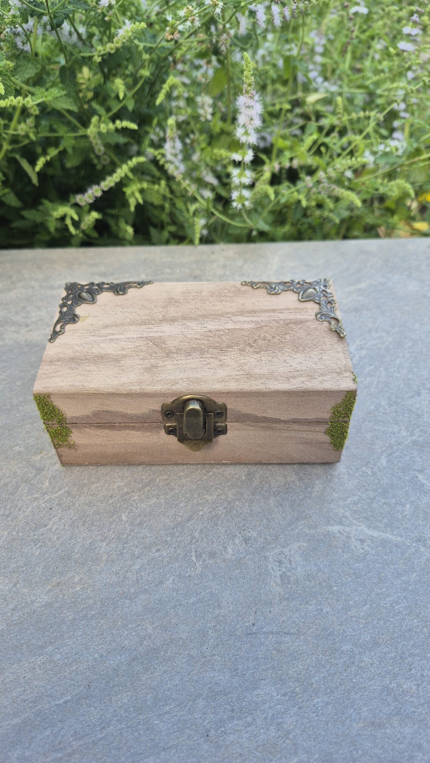 Hidden Forest Box - Image 7