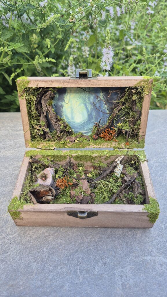 Hidden Forest Box