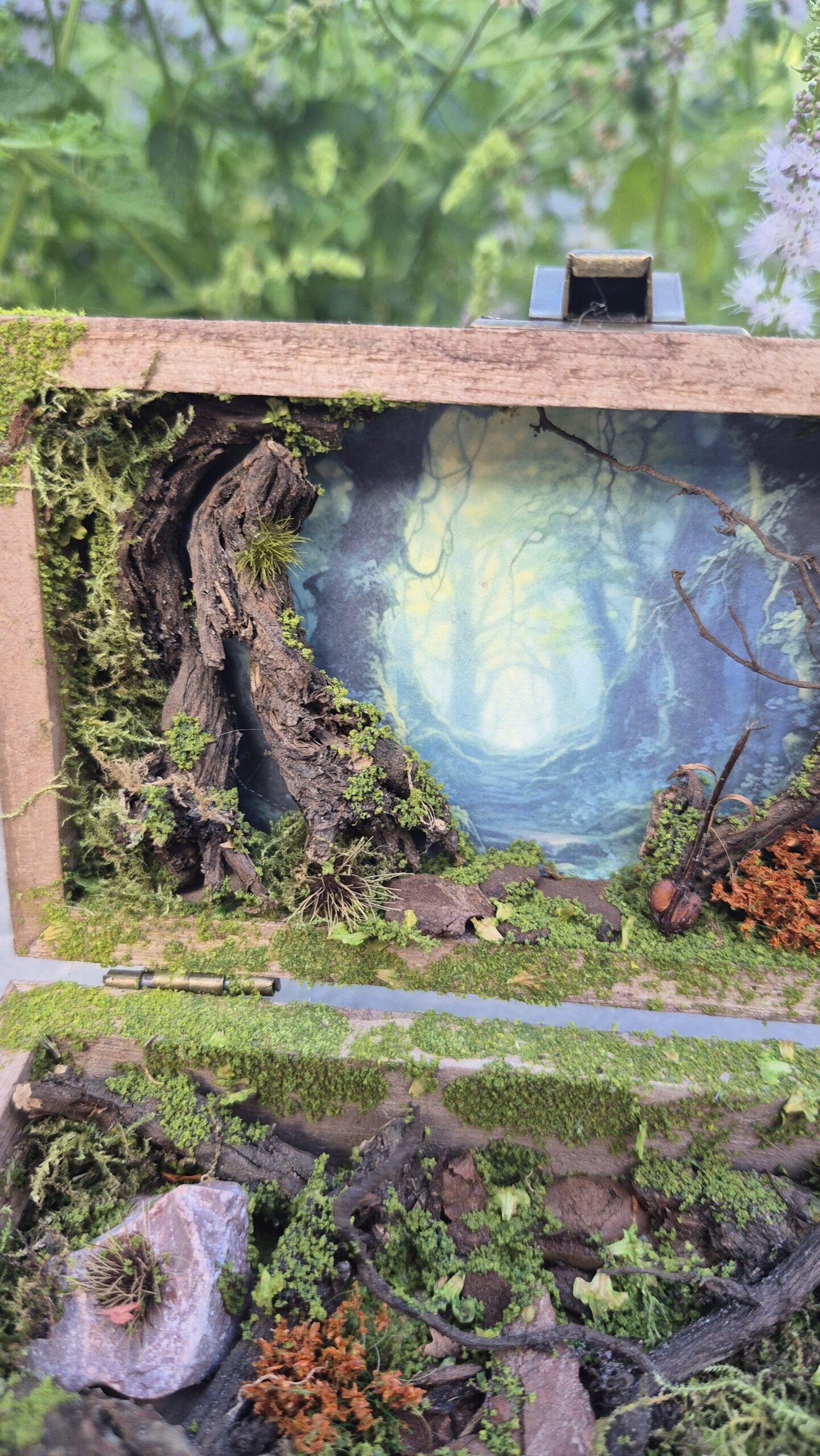 Hidden Forest Box - Image 4