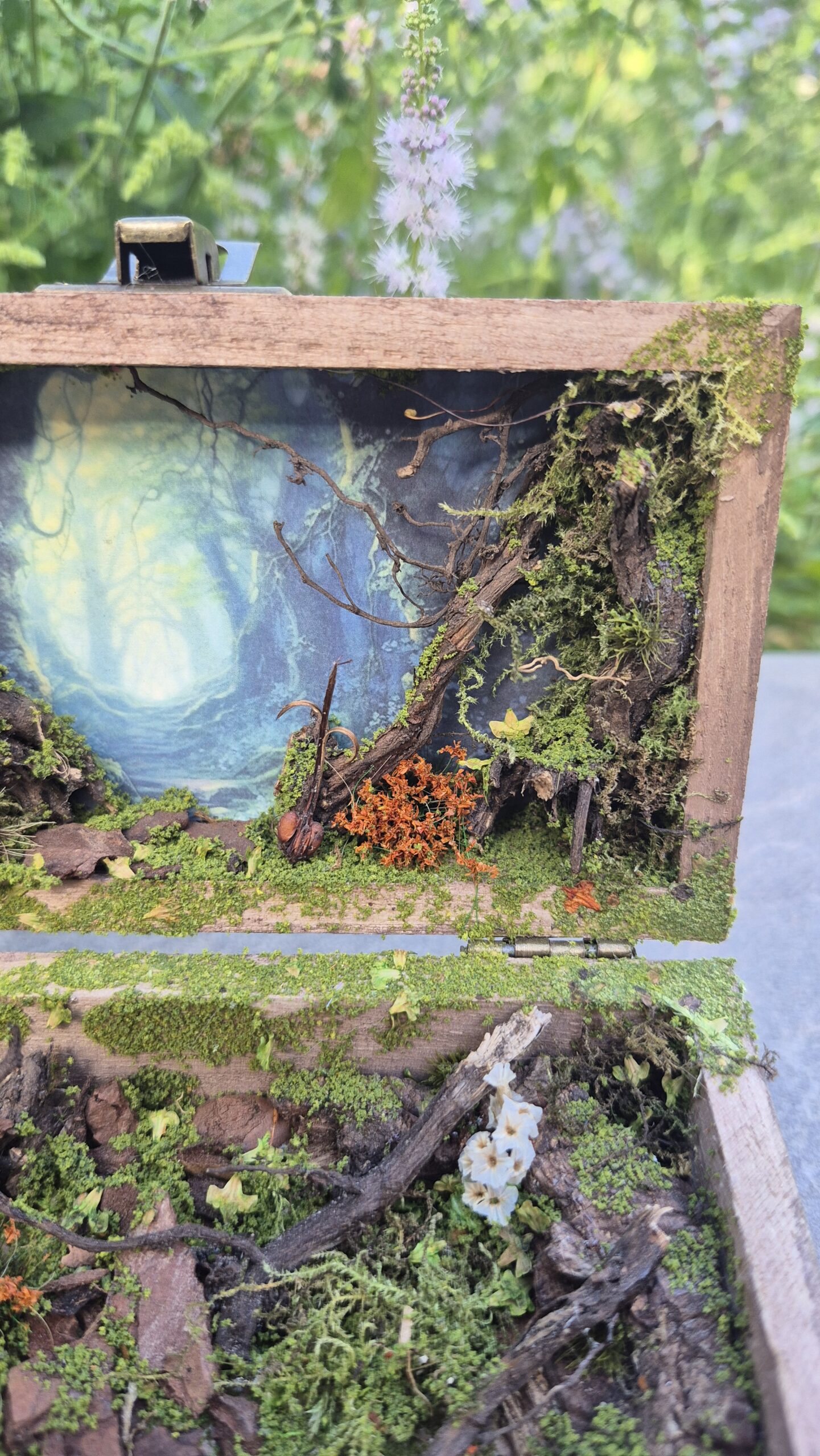 Hidden Forest Box - Image 5