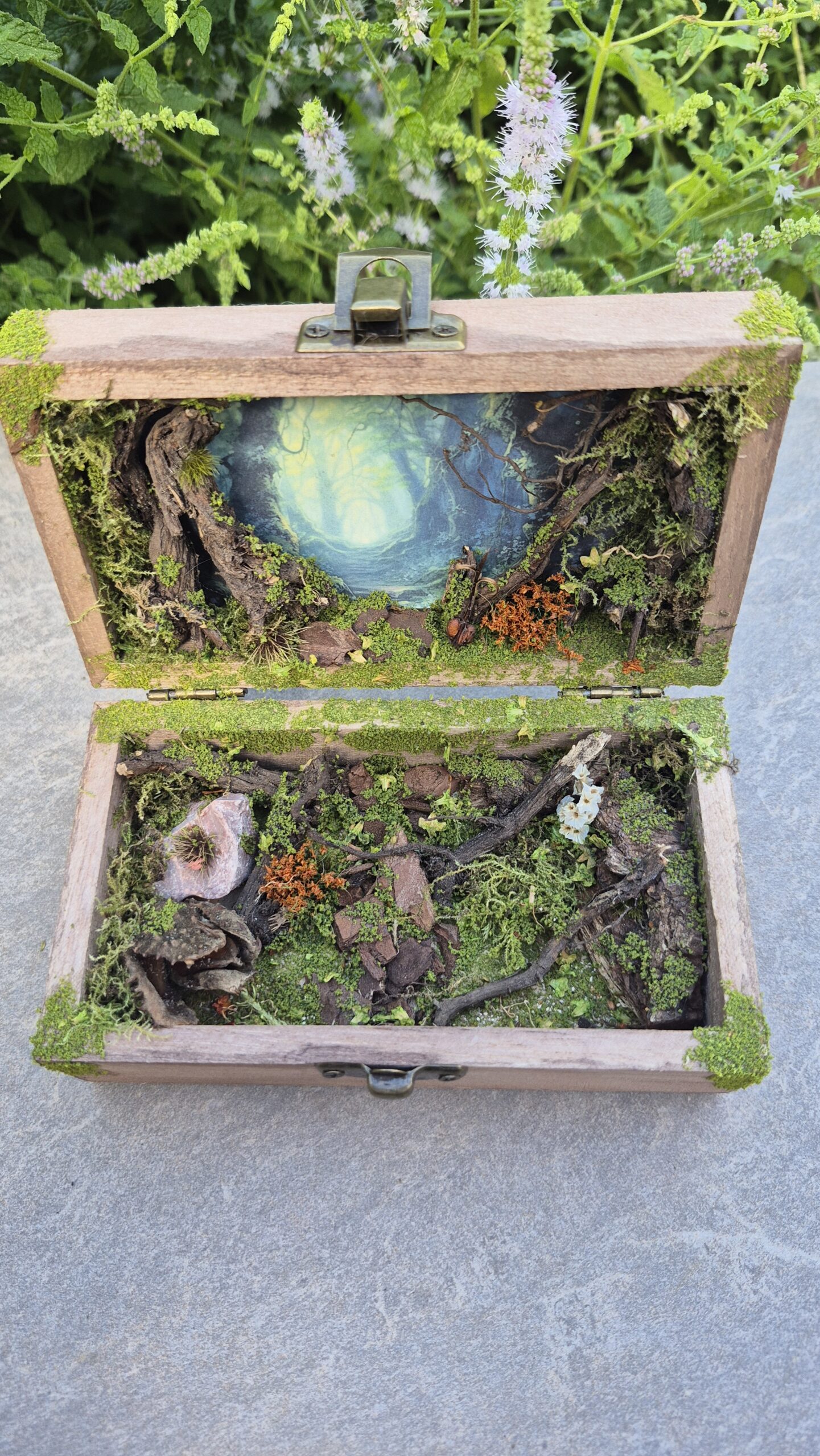 Hidden Forest Box - Image 3