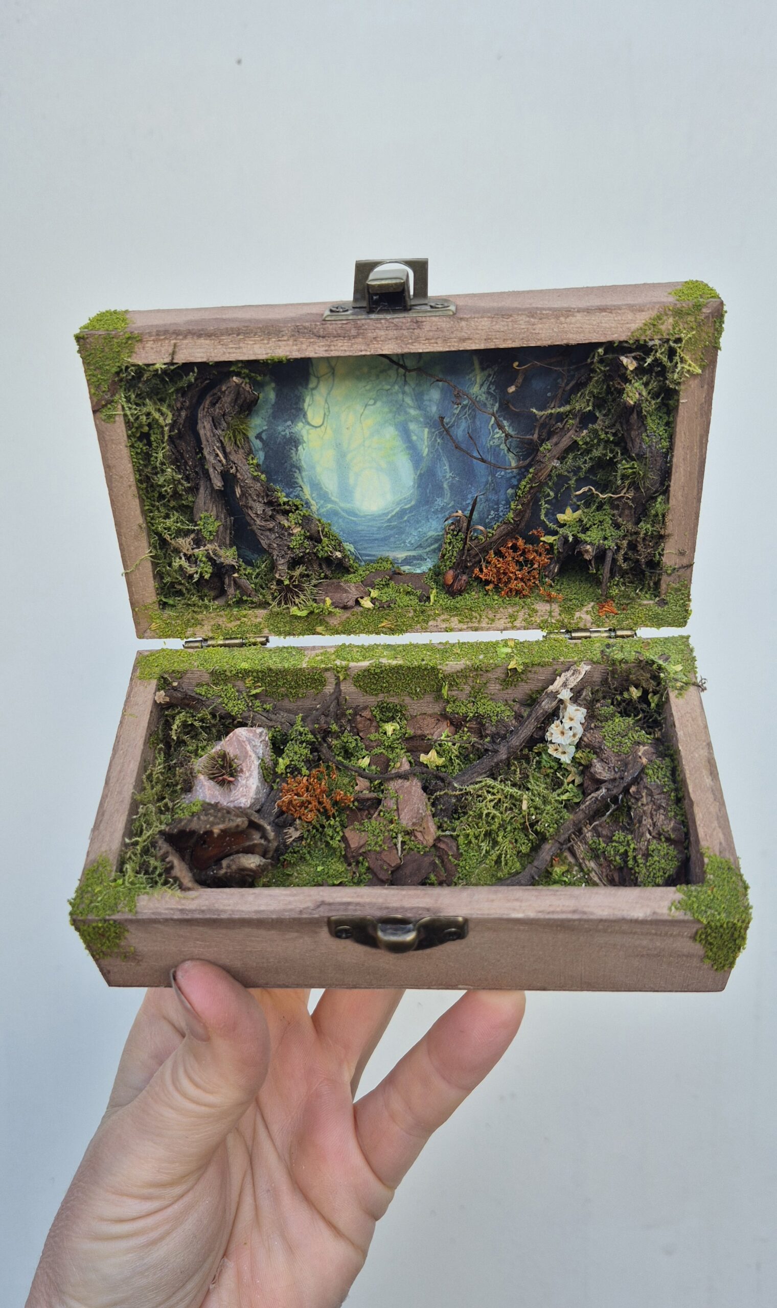Hidden Forest Box - Image 8