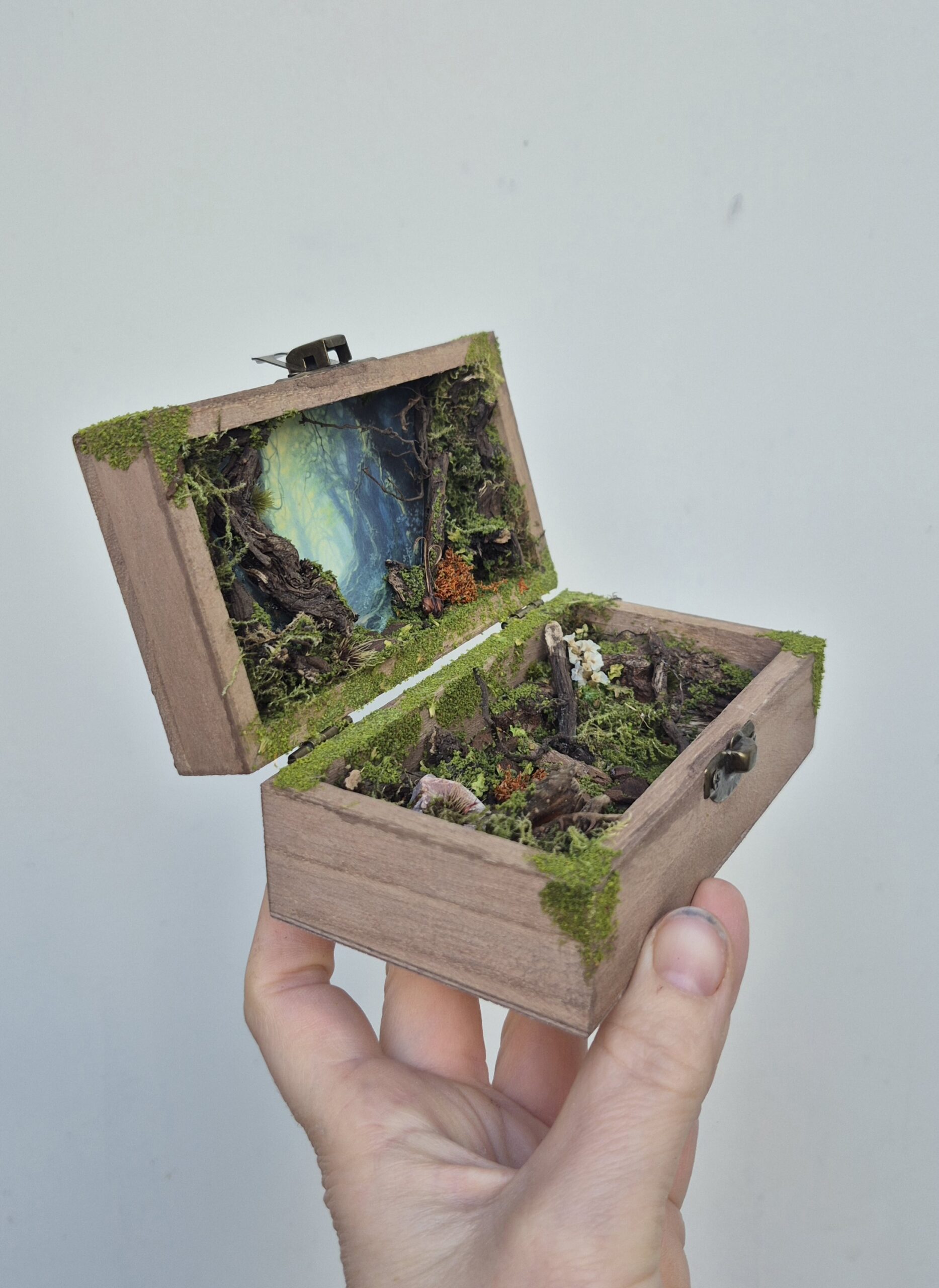 Hidden Forest Box - Image 9