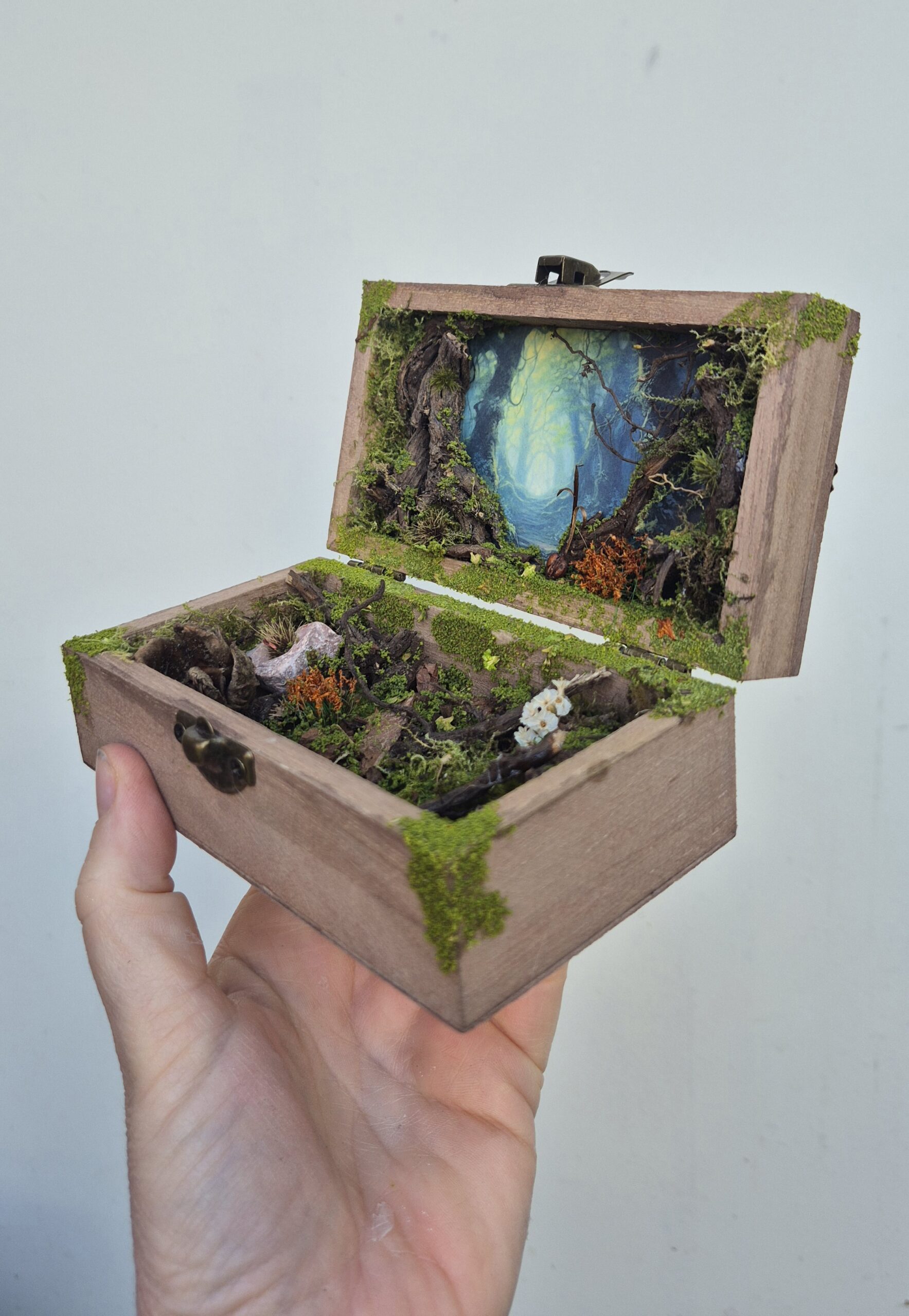 Hidden Forest Box - Image 10