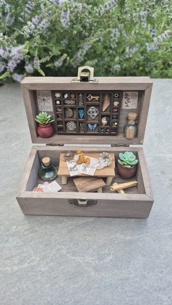 Collector's Curiosity Box
