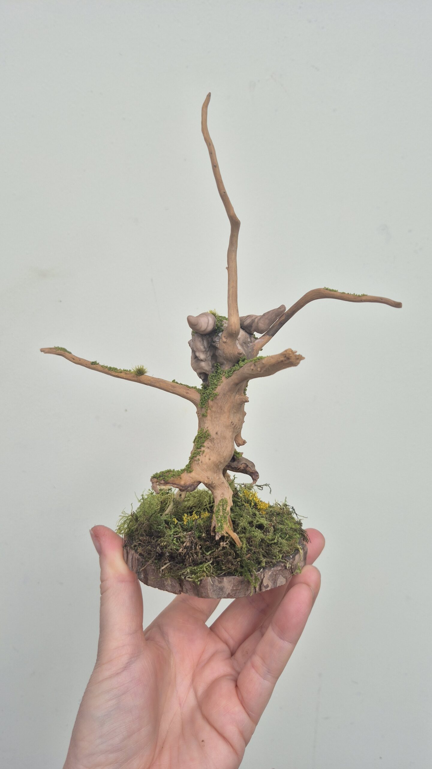 Keeper of the Amber Moss - Image 17