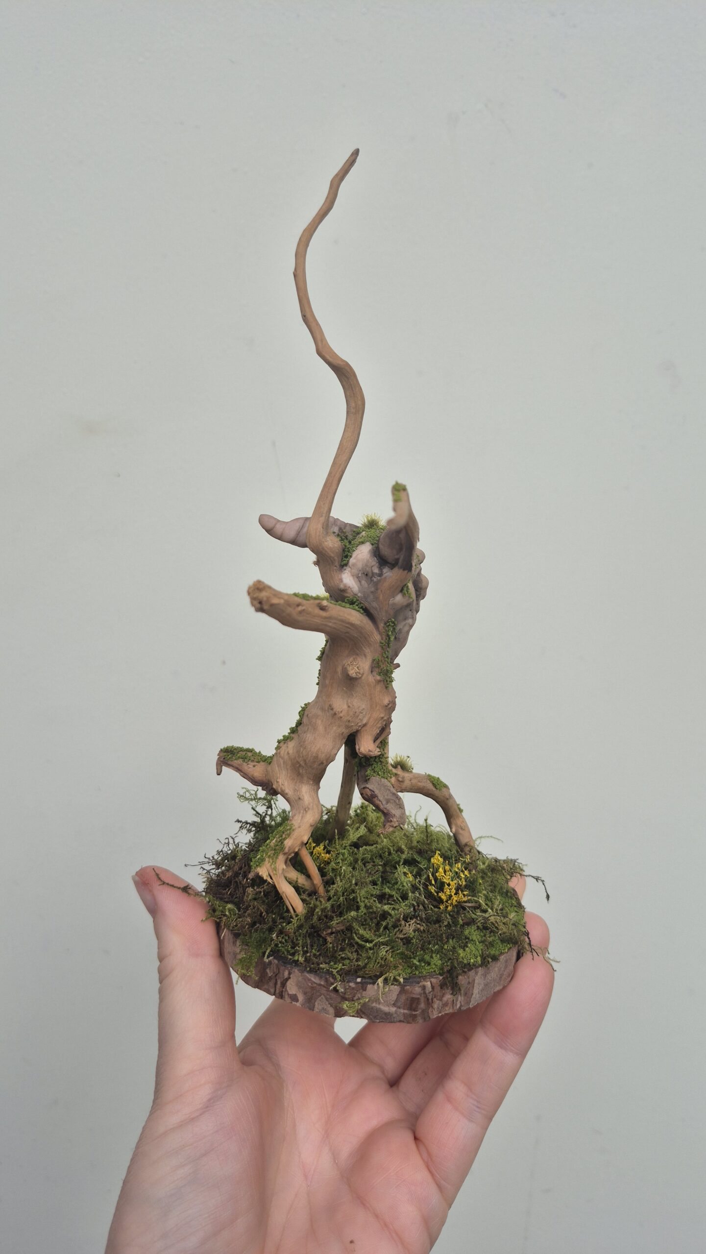 Keeper of the Amber Moss - Image 18