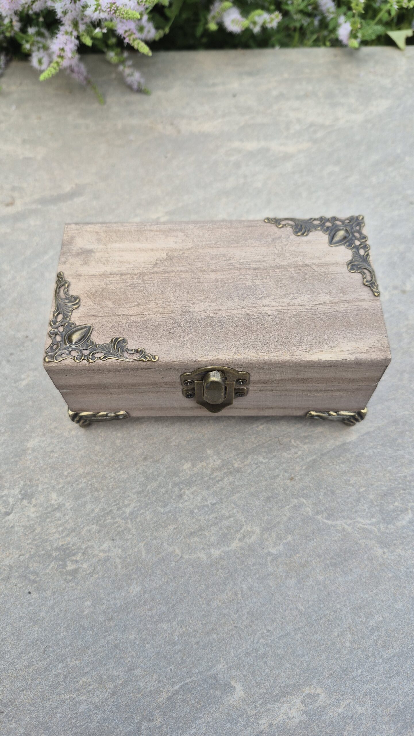 Apothecary Curiosity Box - Image 9