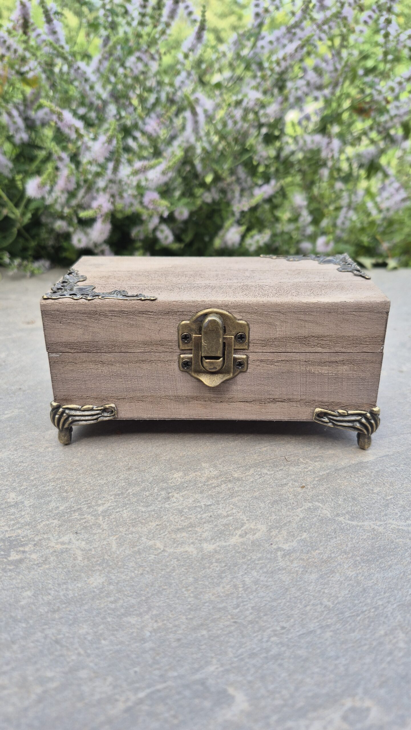 Apothecary Curiosity Box - Image 10
