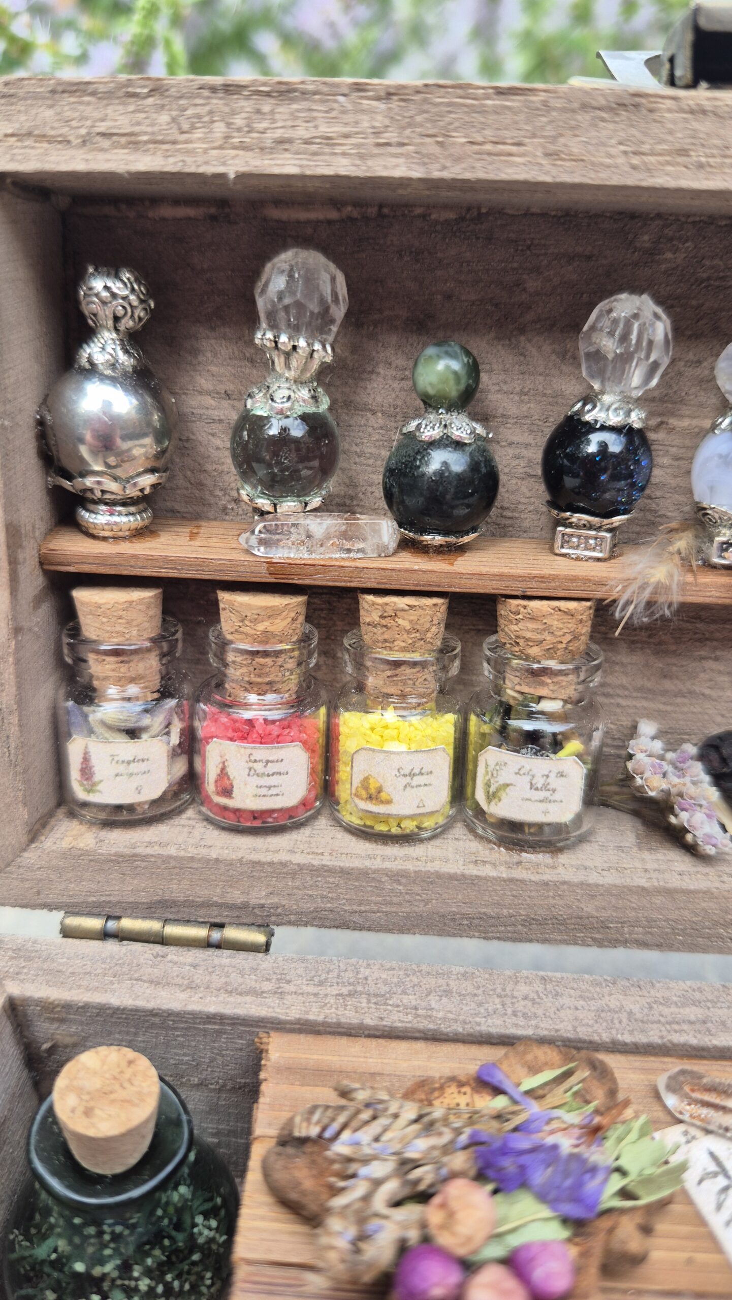 Apothecary Curiosity Box - Image 3