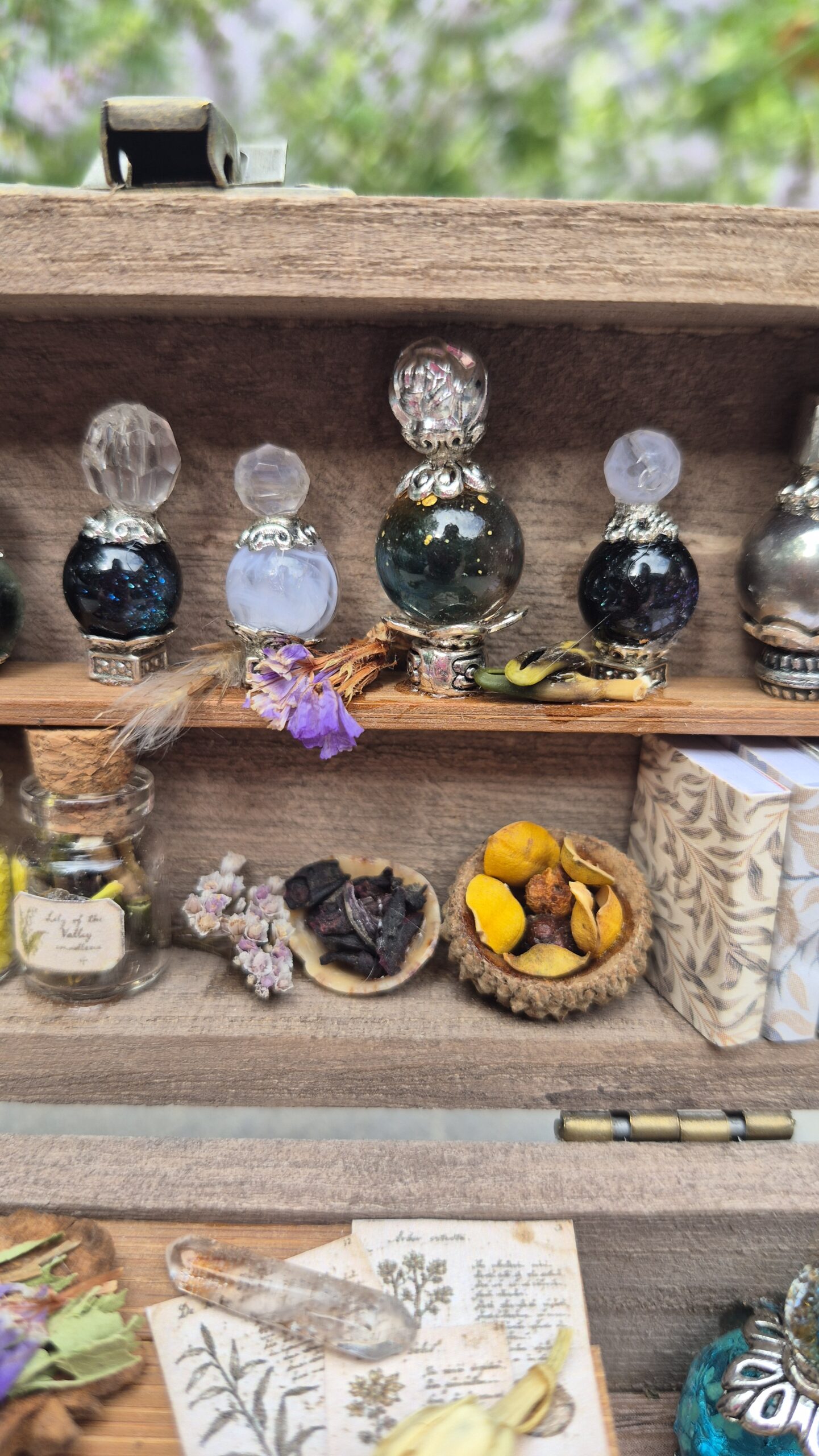 Apothecary Curiosity Box - Image 4