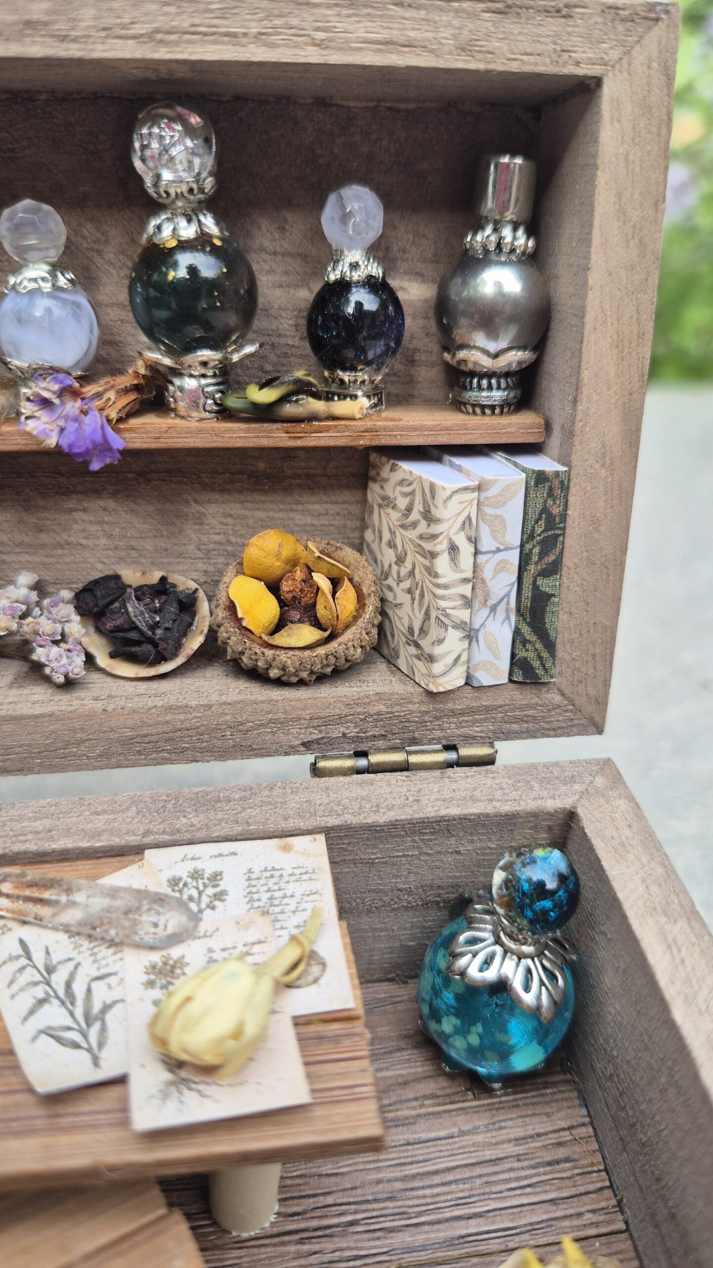 Apothecary Curiosity Box - Image 5