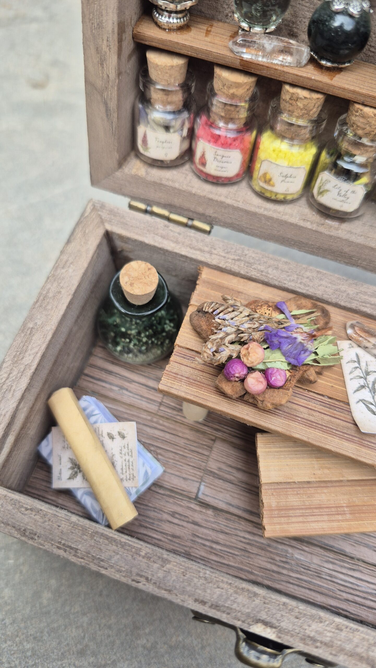 Apothecary Curiosity Box - Image 6