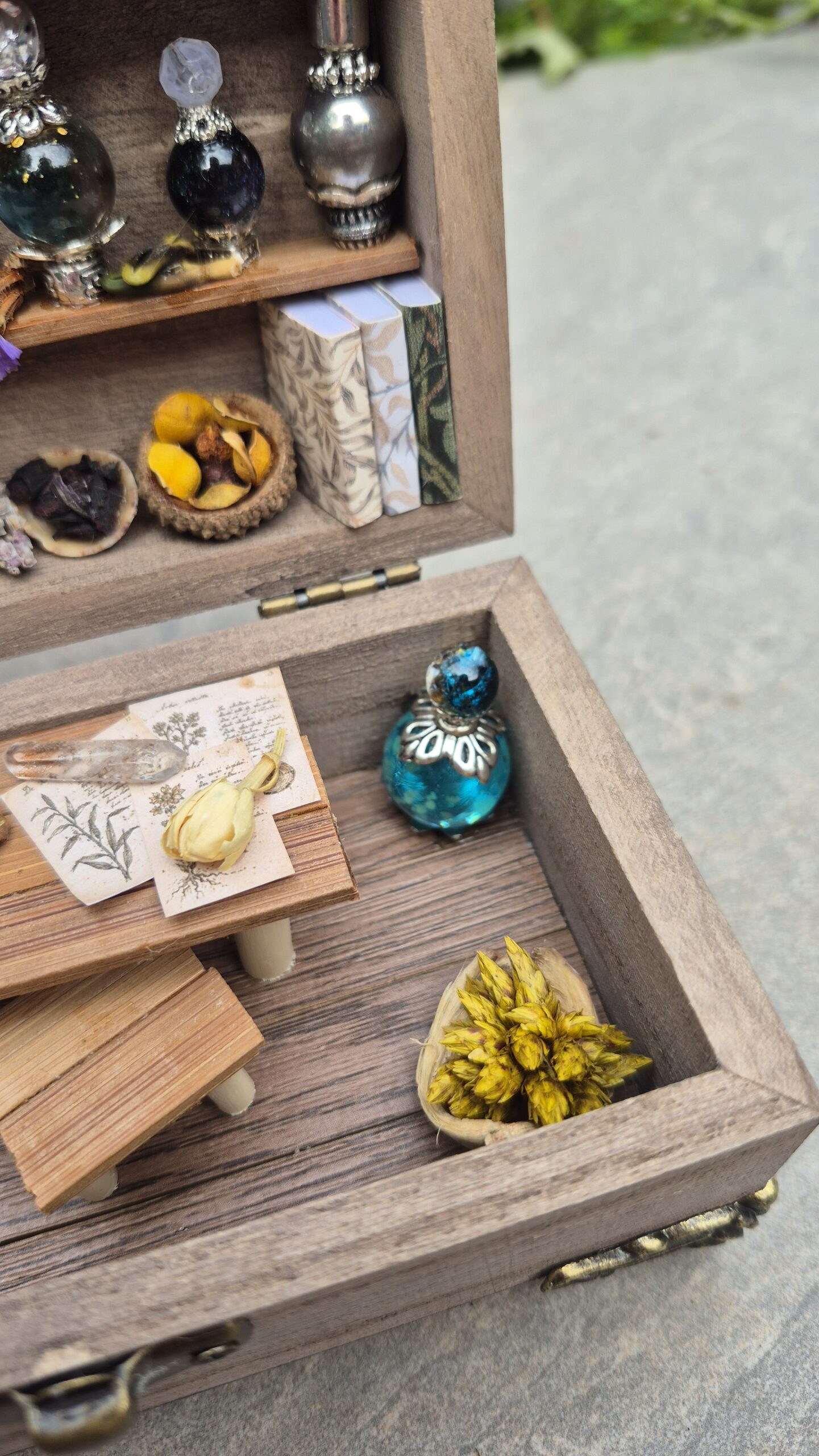 Apothecary Curiosity Box - Image 8