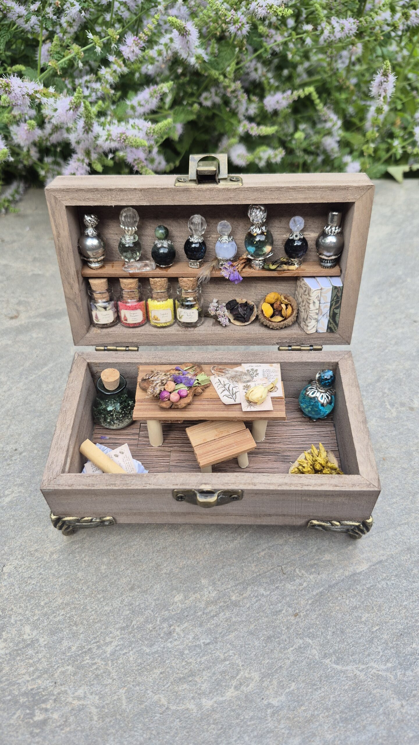 Apothecary Curiosity Box - Image 2