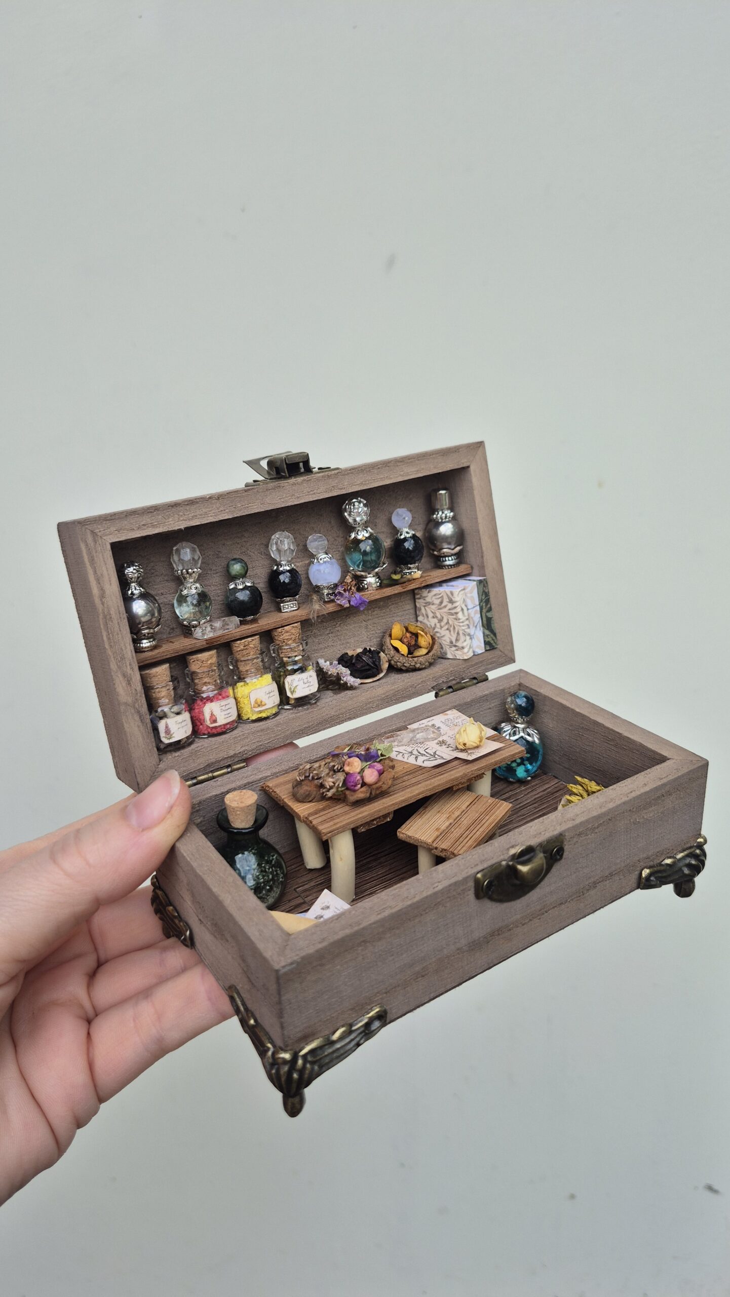 Apothecary Curiosity Box - Image 14