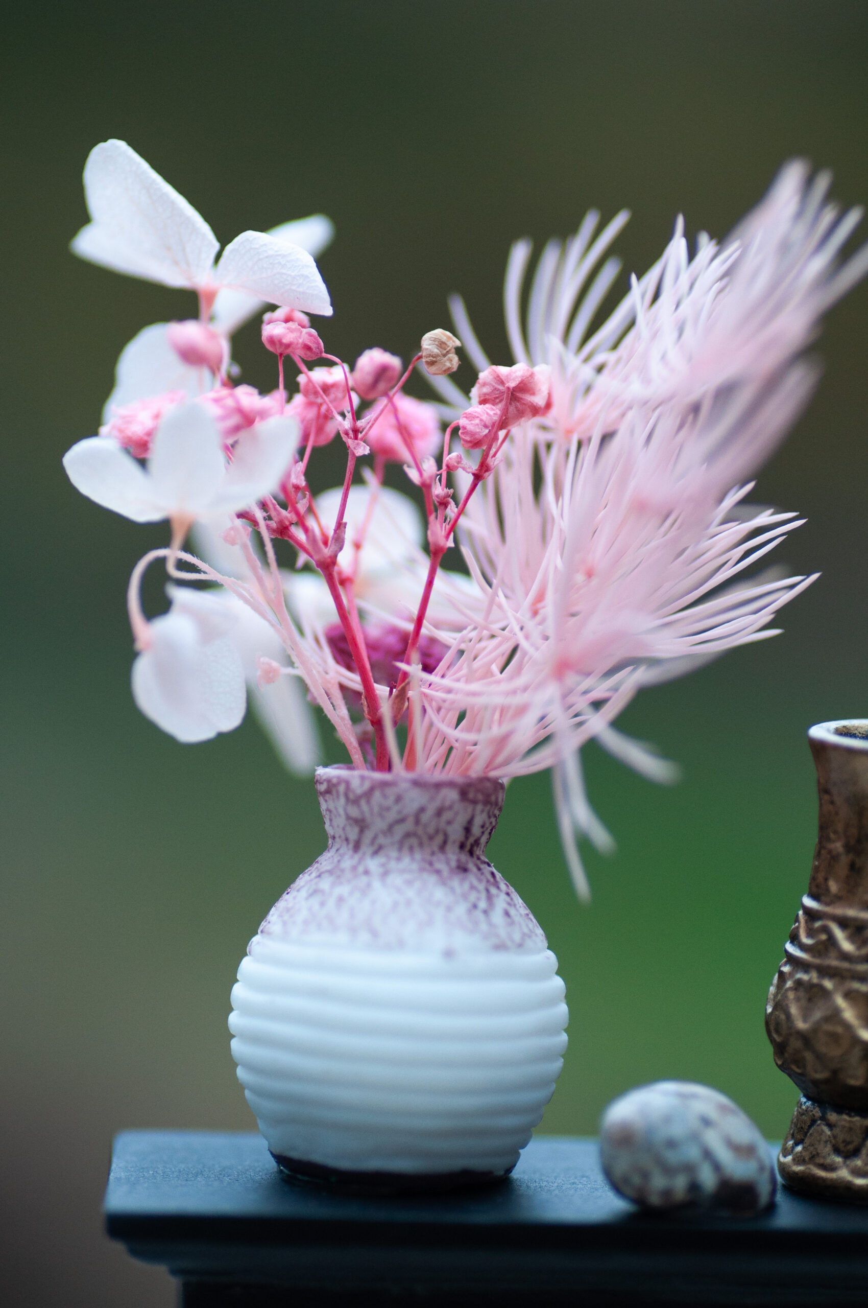 Botanical curiosity cabinet - Image 4