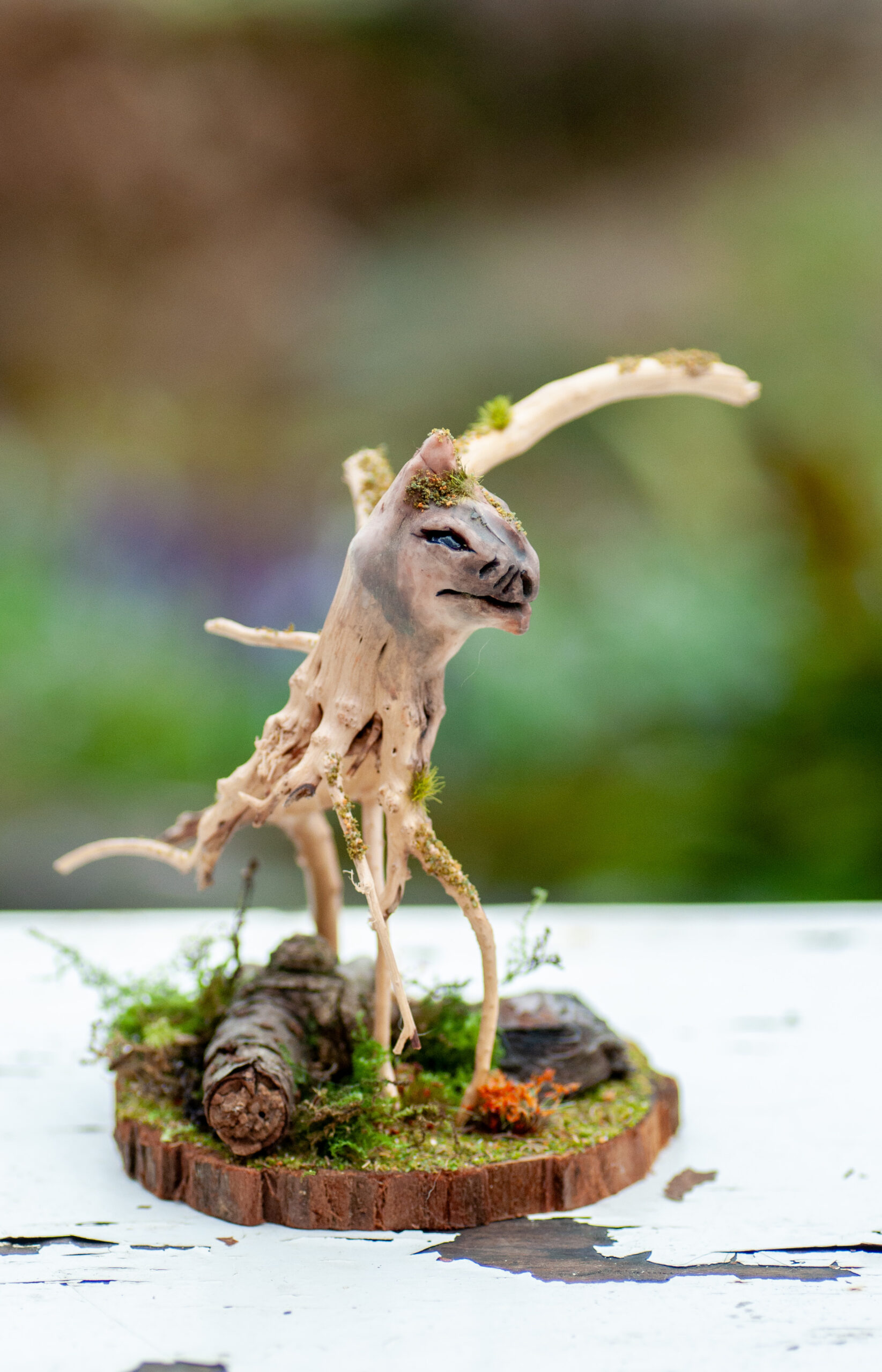 Roamer of the Elderwood - Image 9
